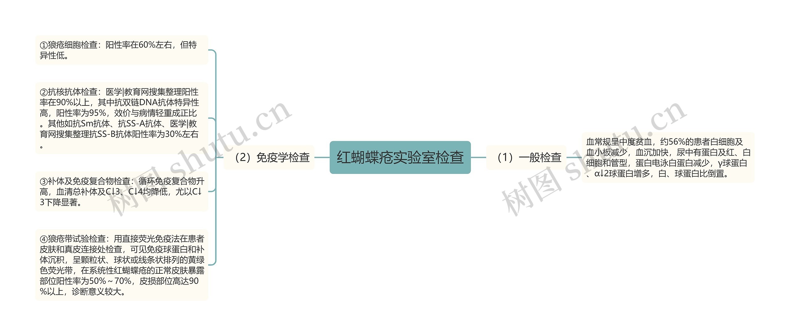 红蝴蝶疮实验室检查思维导图