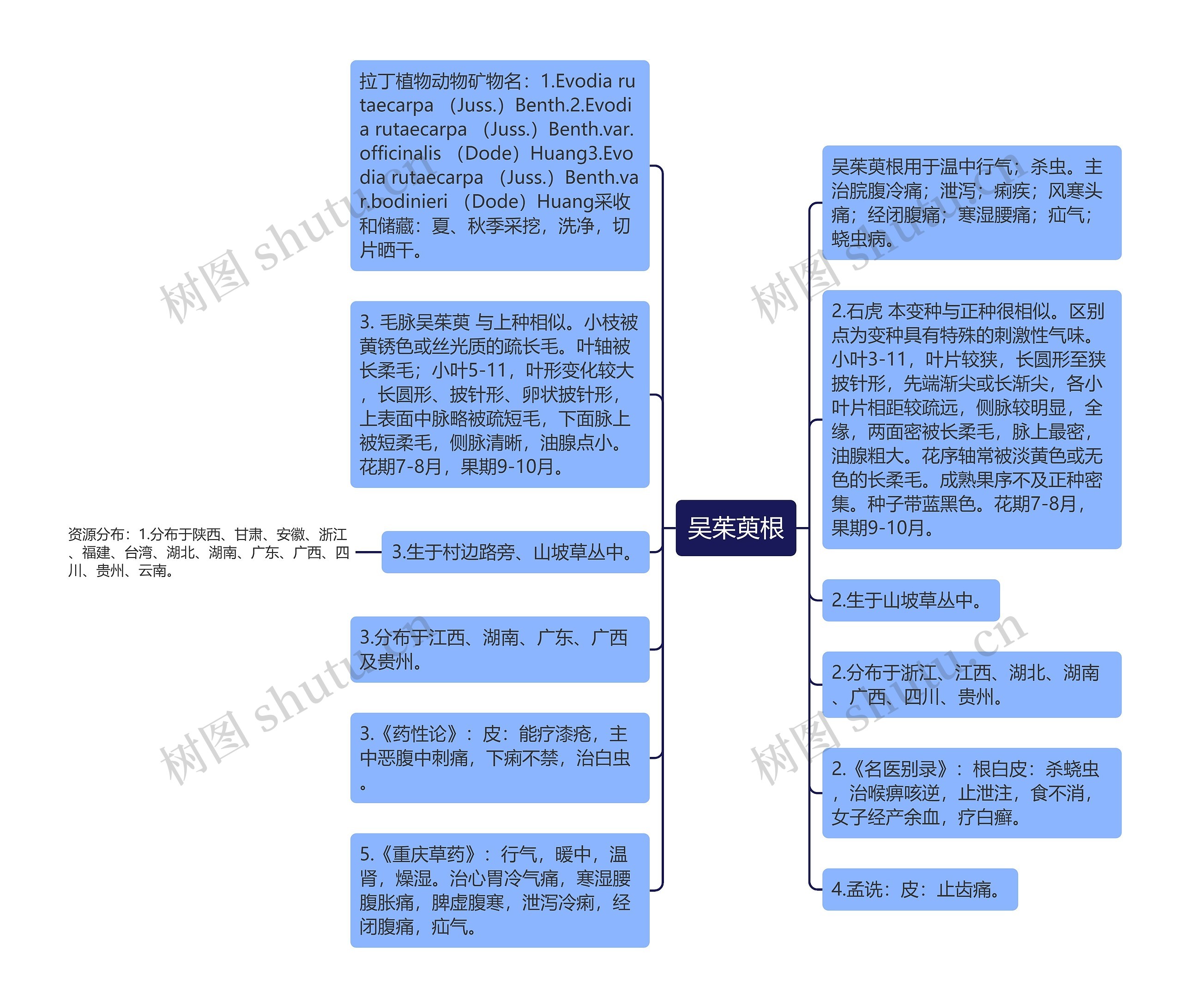 吴茱萸根思维导图