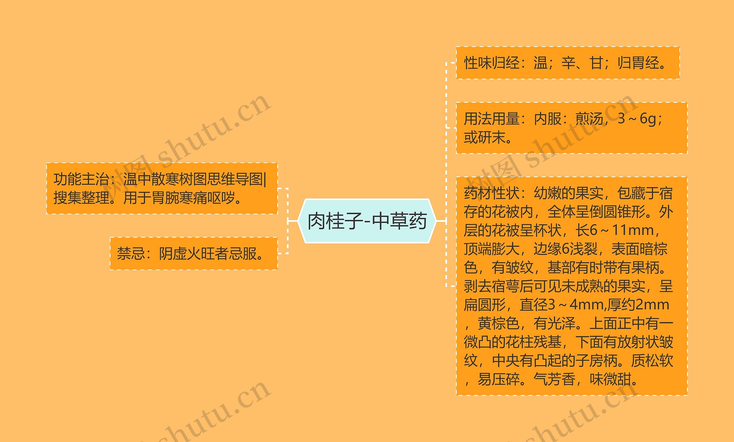 肉桂子-中草药 肉桂子-中草药