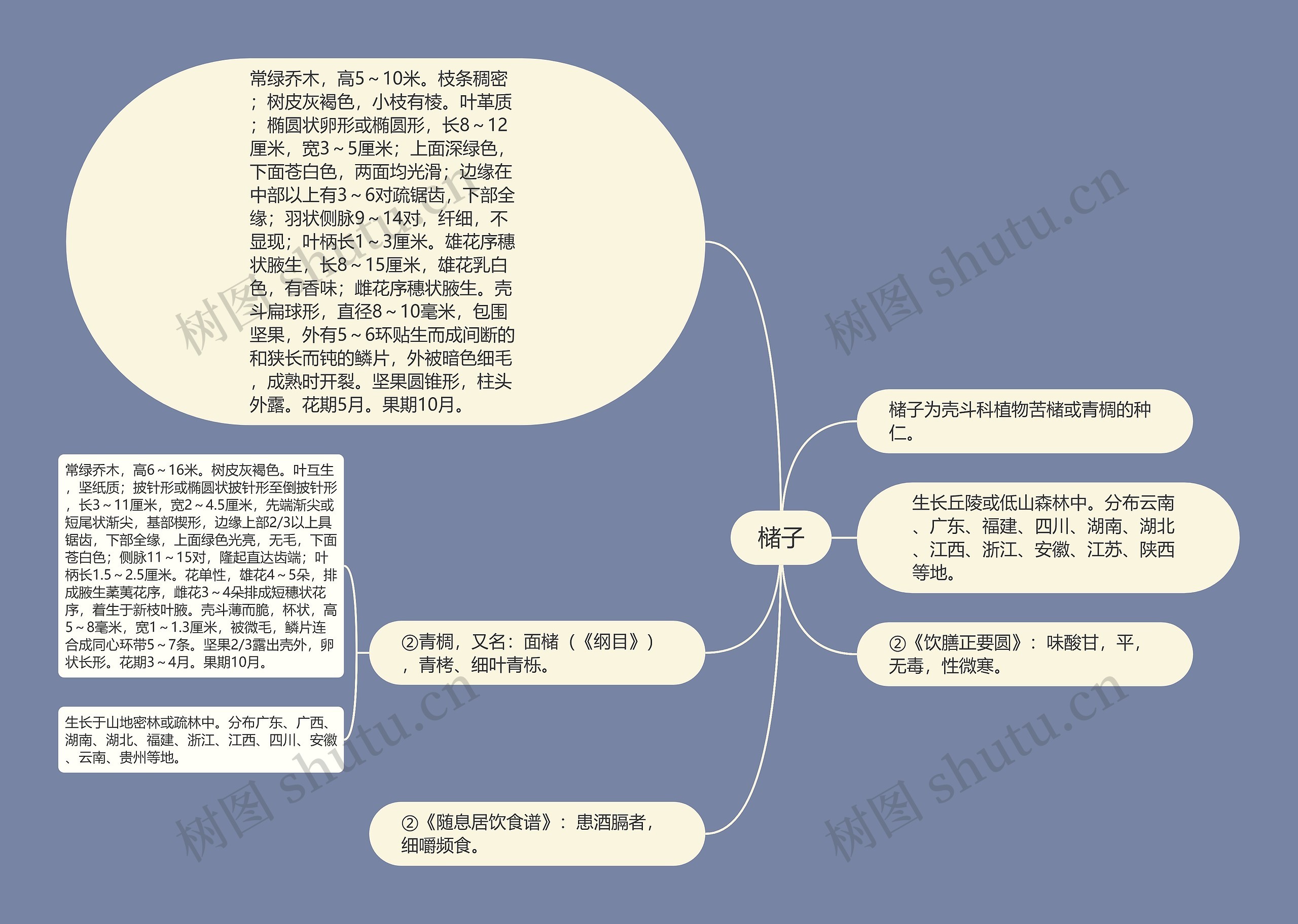 槠子思维导图