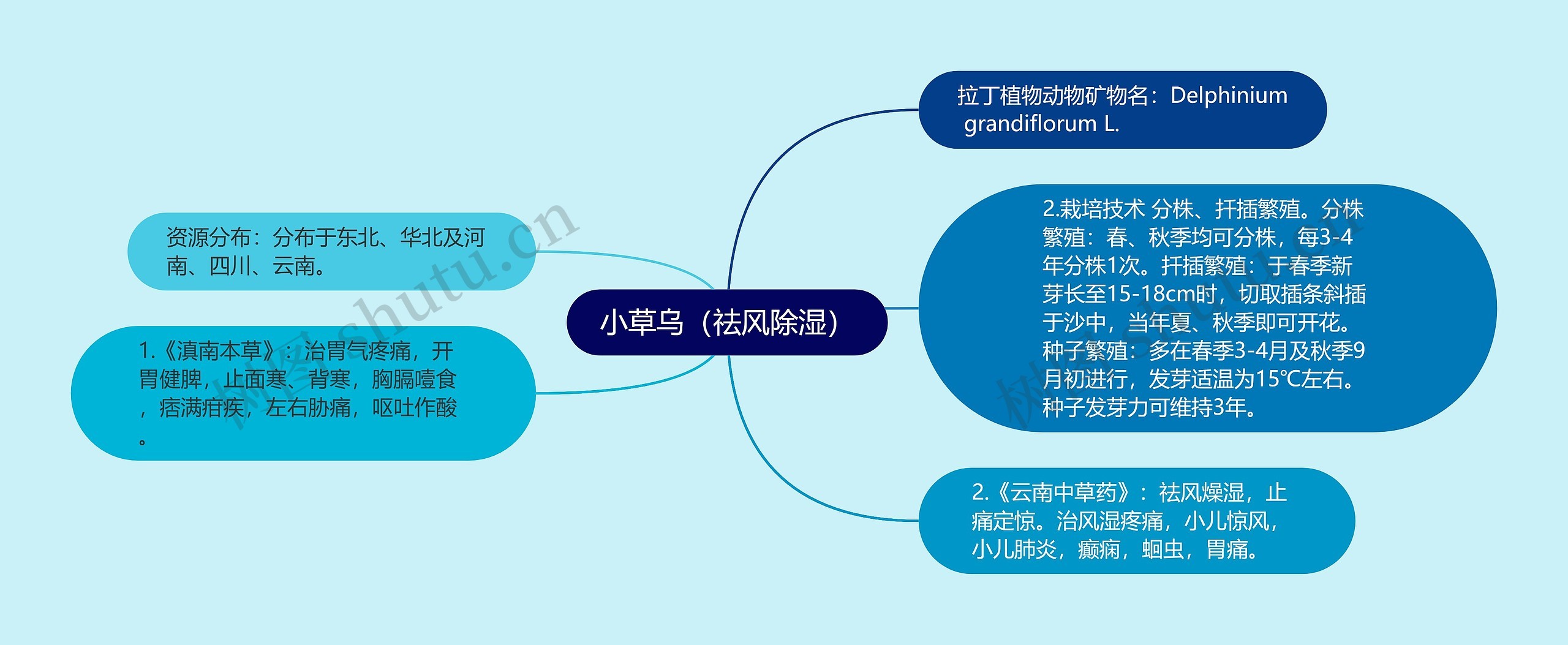 小草乌（祛风除湿）思维导图