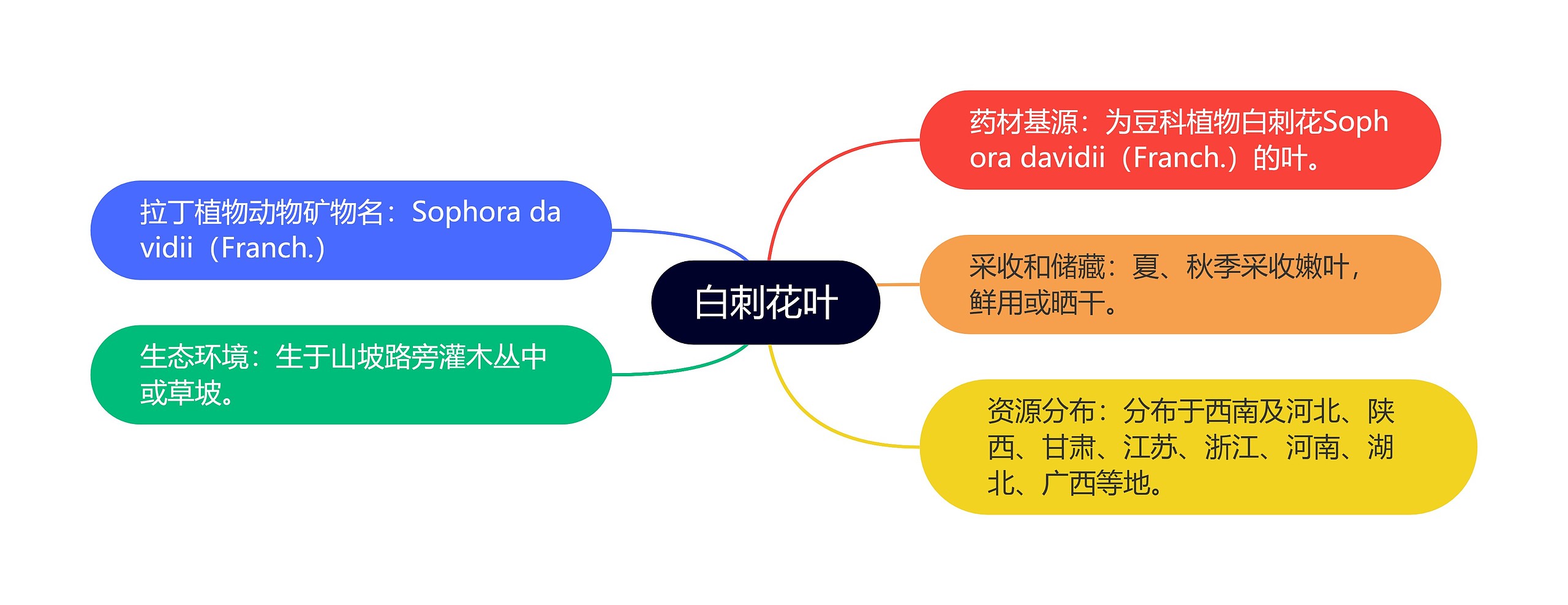 白刺花叶