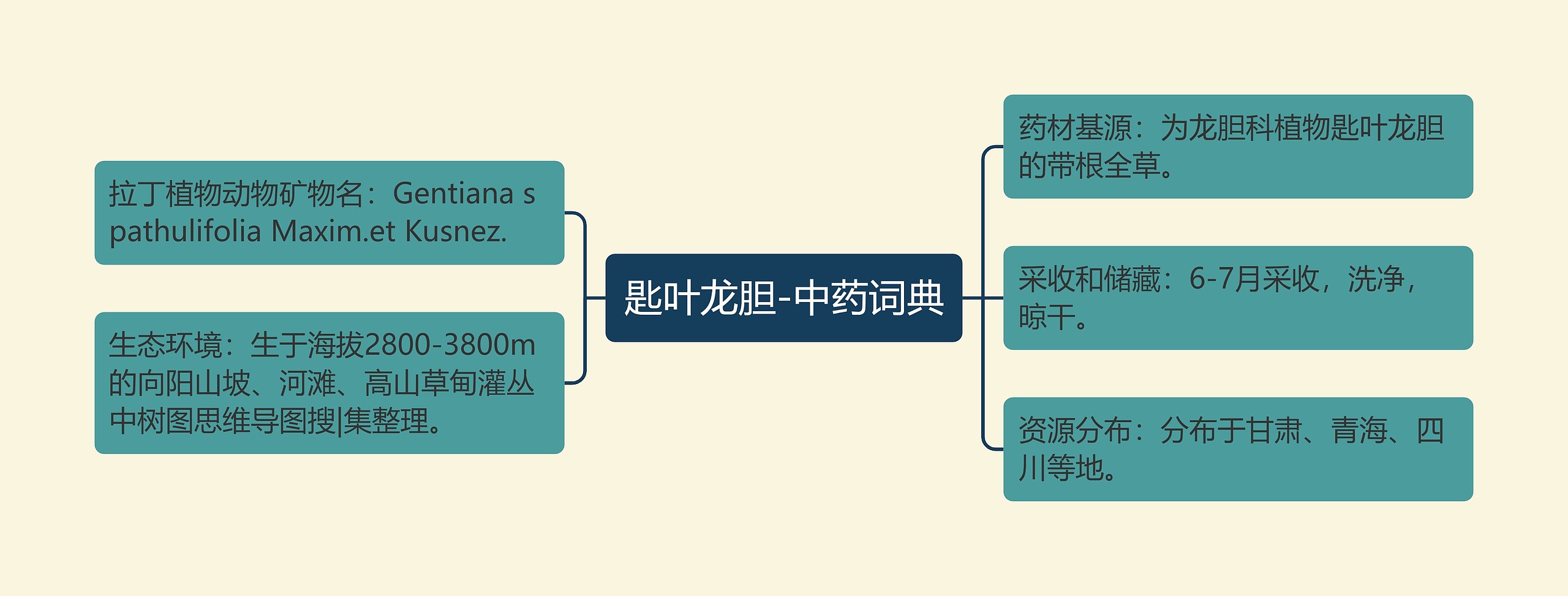 匙叶龙胆-中药词典思维导图