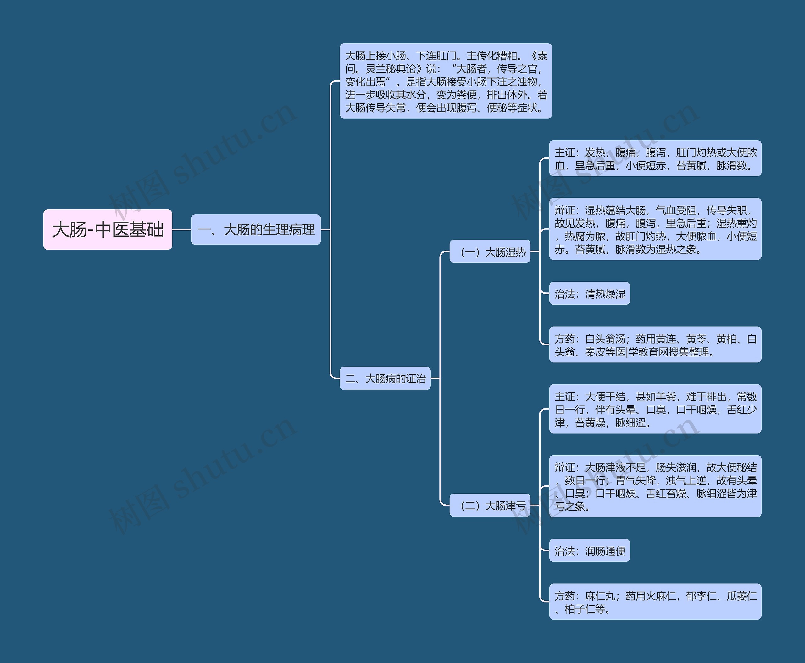 大肠-中医基础思维导图