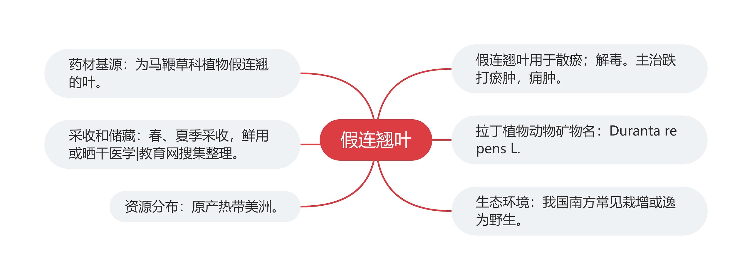 假连翘叶思维导图