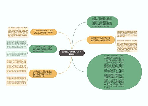 脏与脏之间的相互关系-中医基础