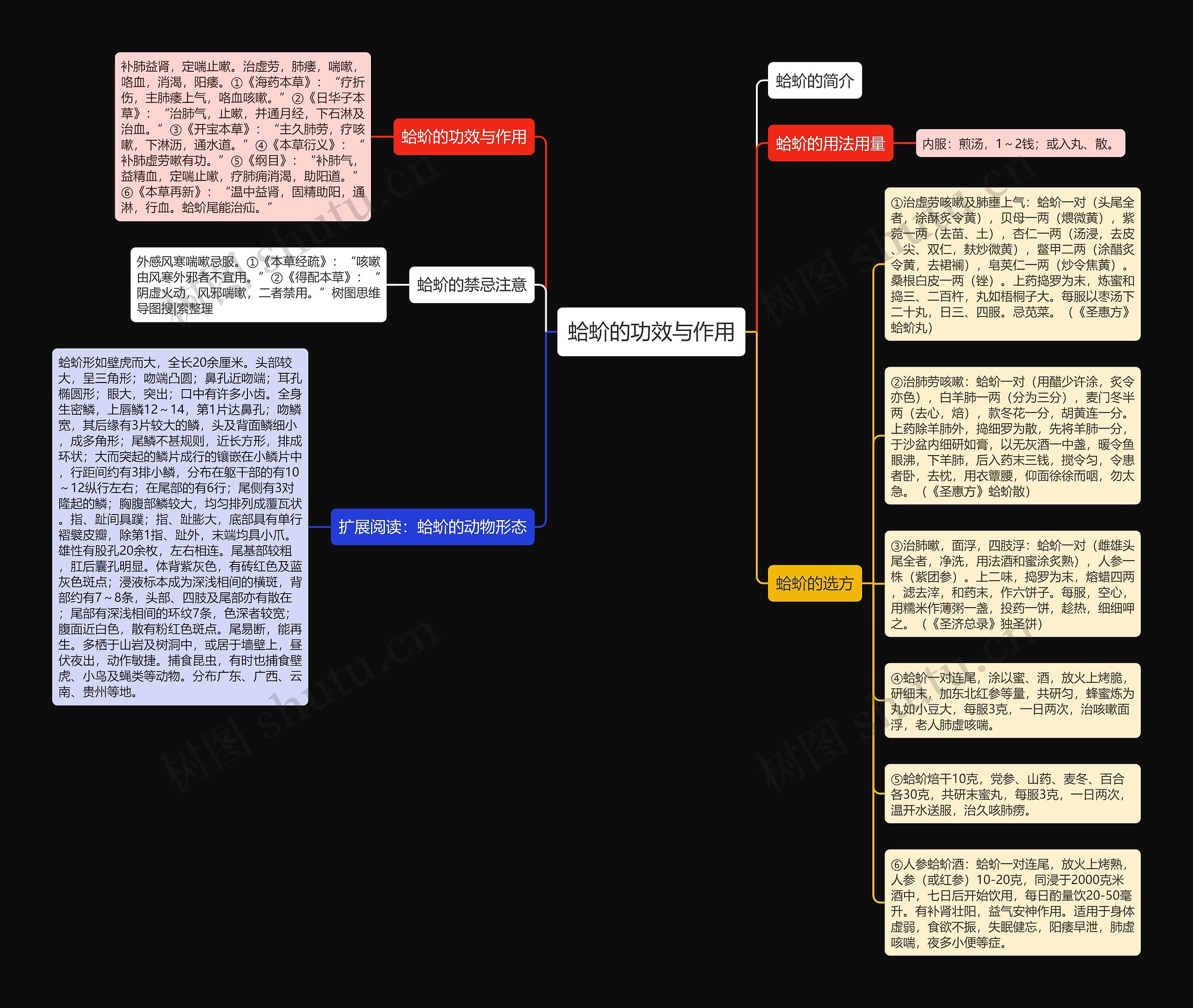 蛤蚧的功效与作用思维导图