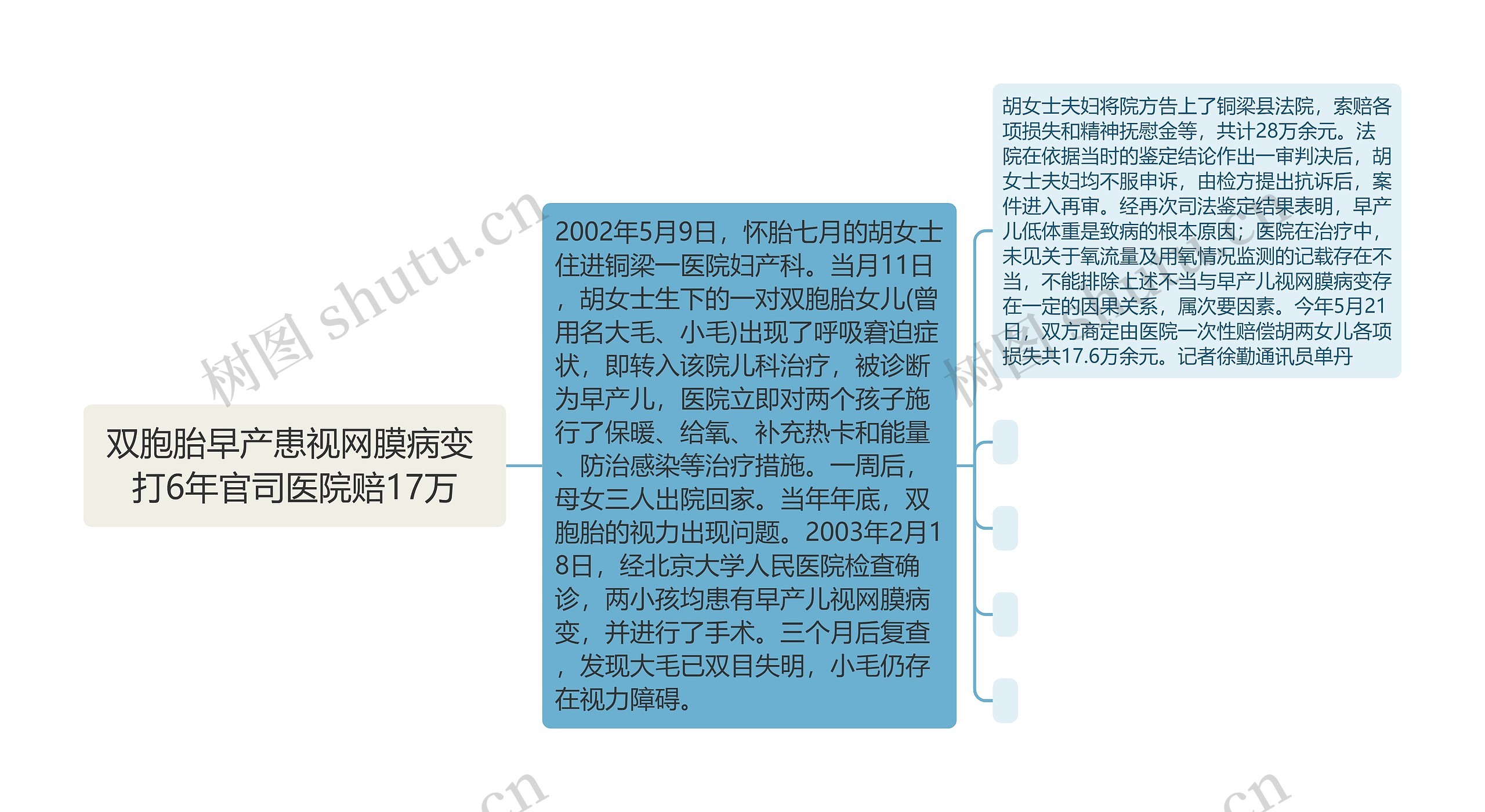 双胞胎早产患视网膜病变 打6年官司医院赔17万思维导图