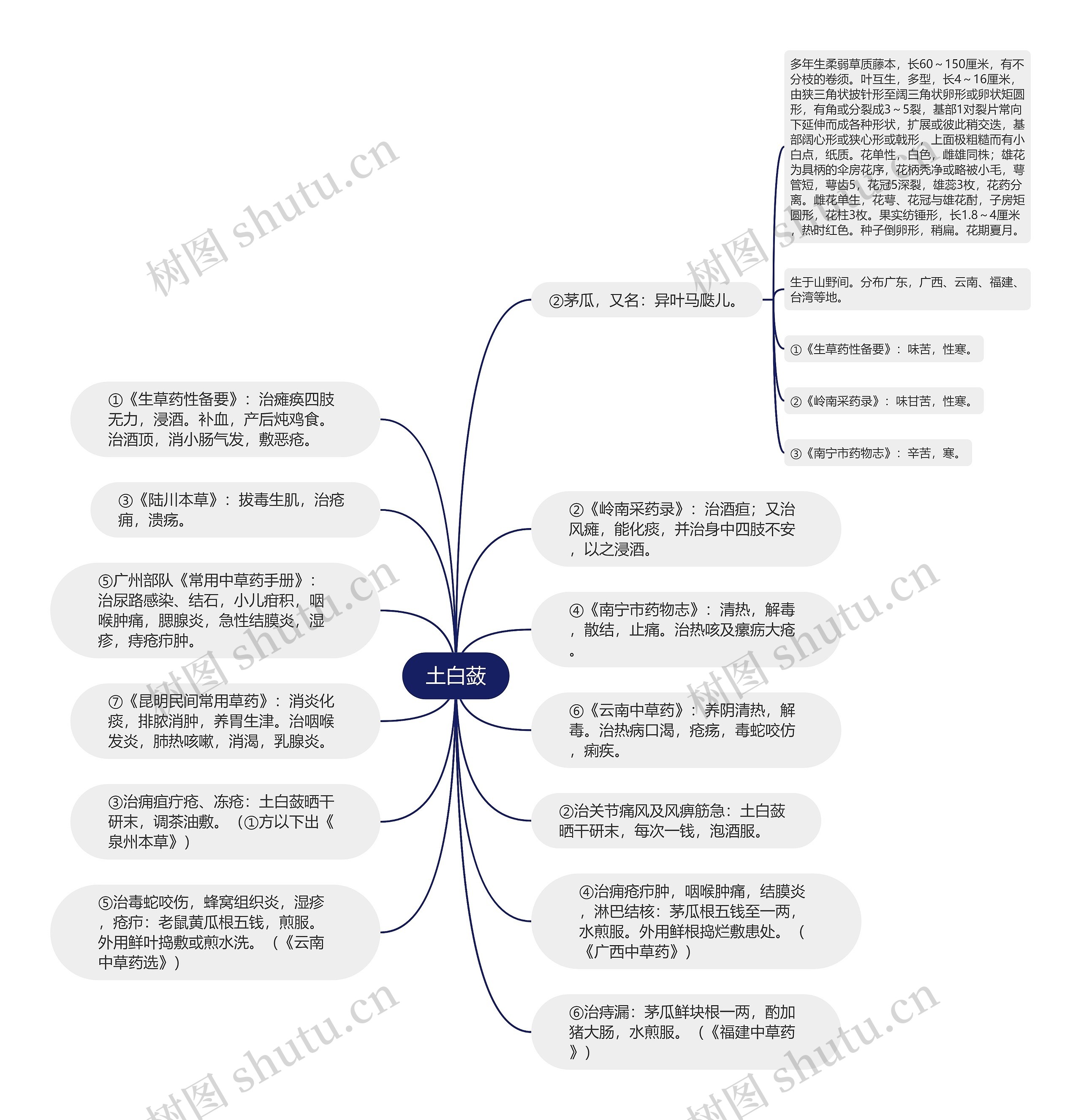 土白蔹思维导图