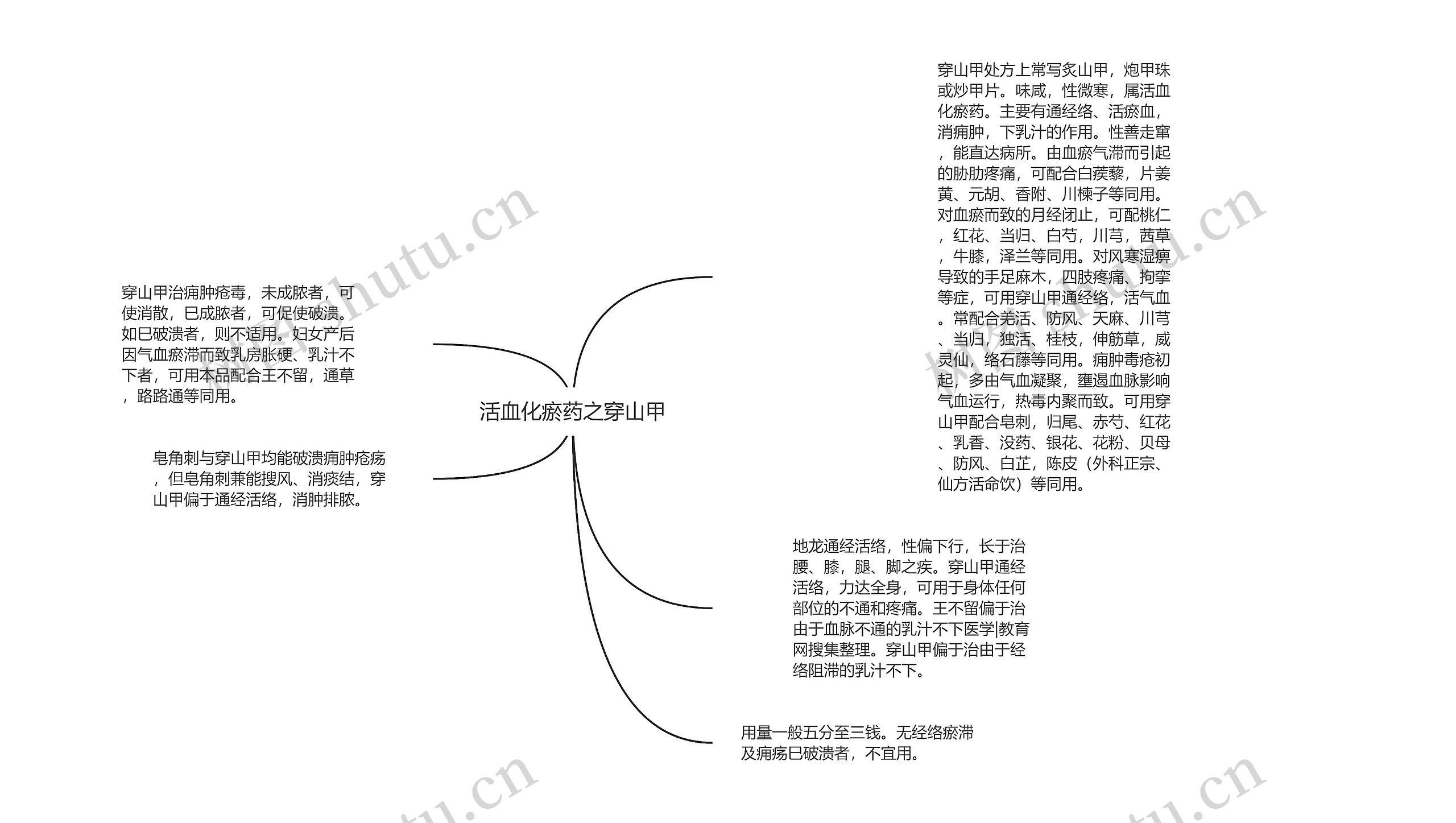 活血化瘀药之穿山甲思维导图