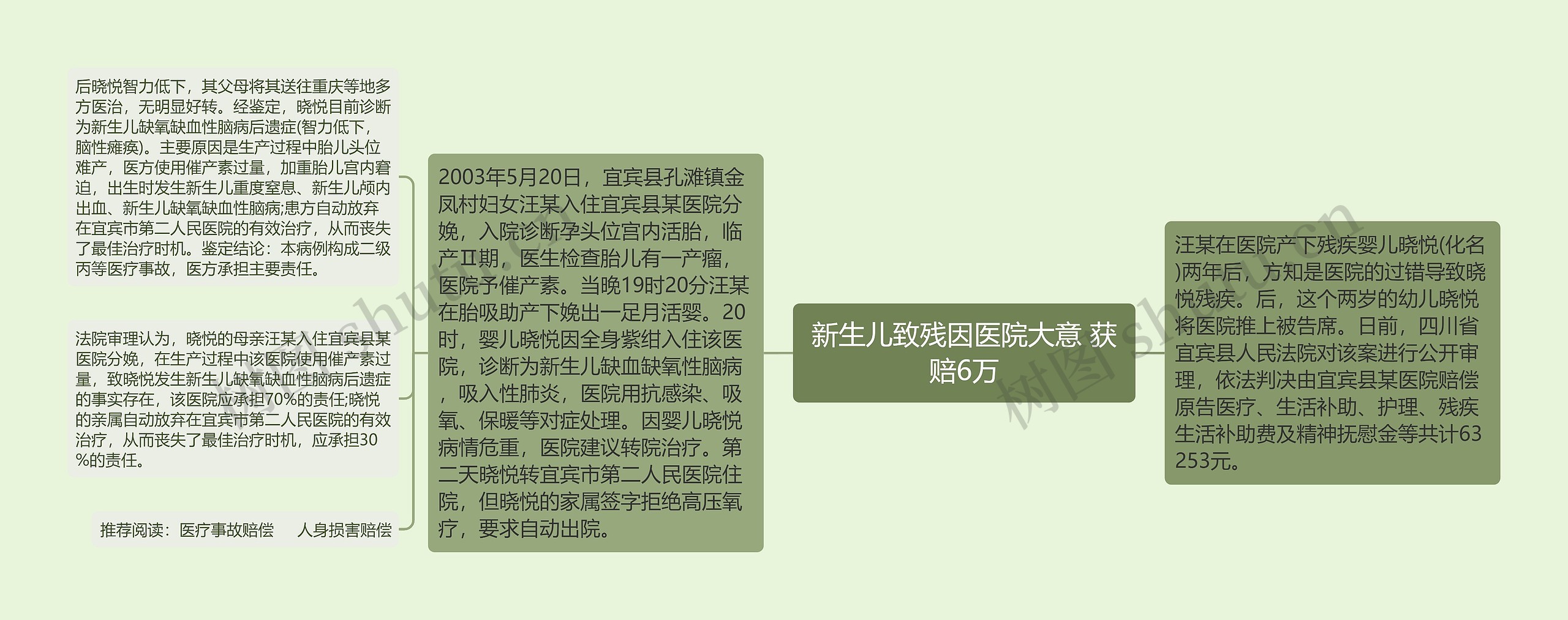 新生儿致残因医院大意 获赔6万思维导图