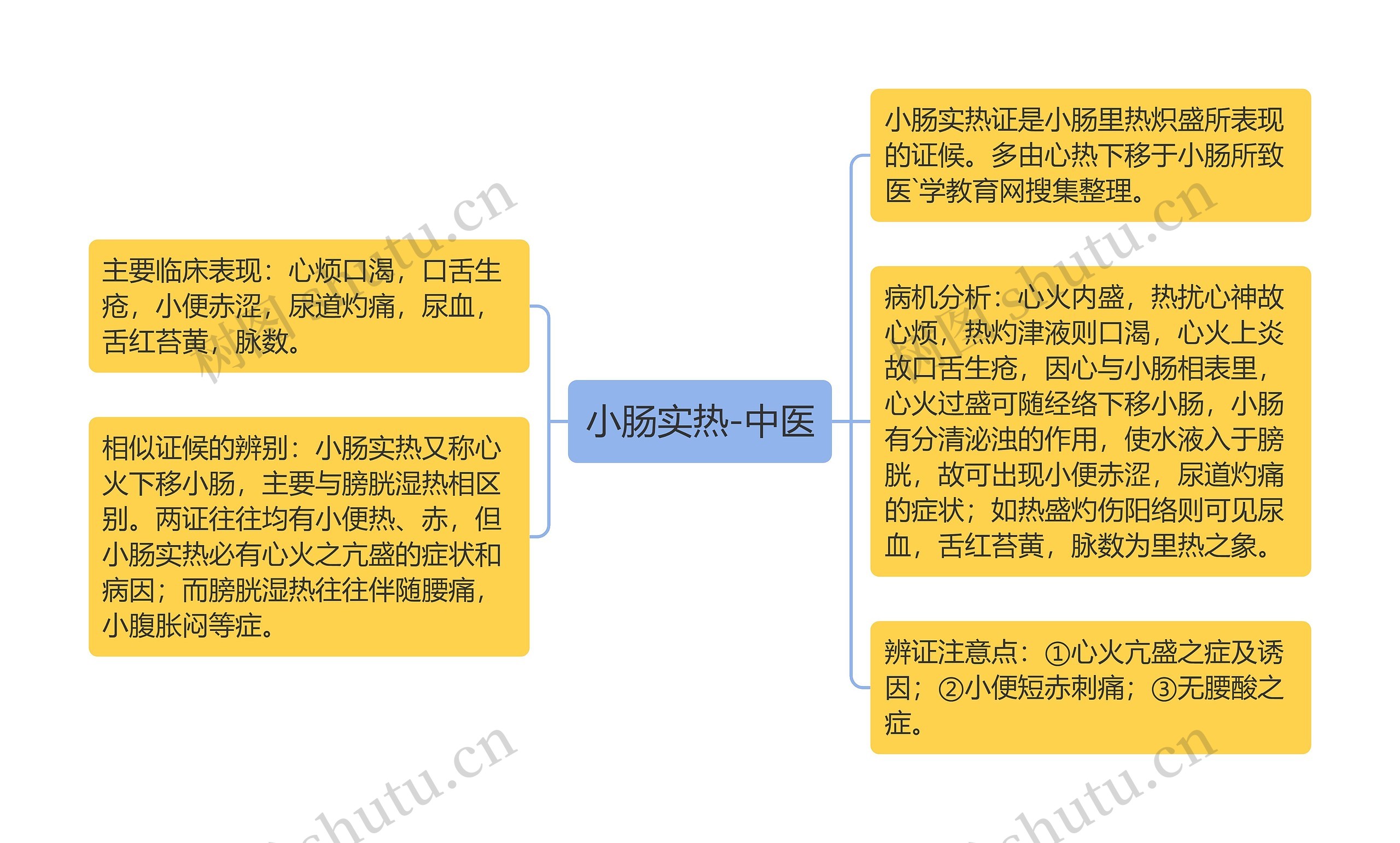 小肠实热-中医思维导图