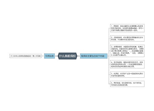 什么是配偶权