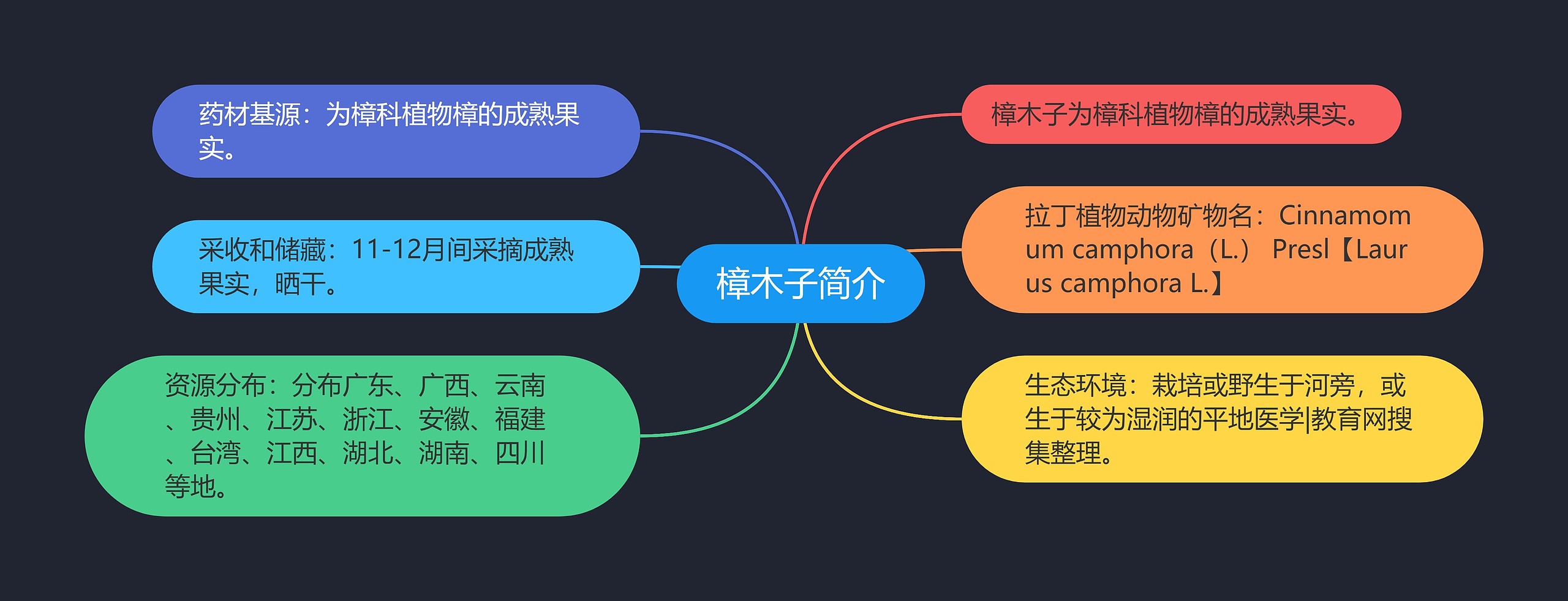 樟木子简介思维导图