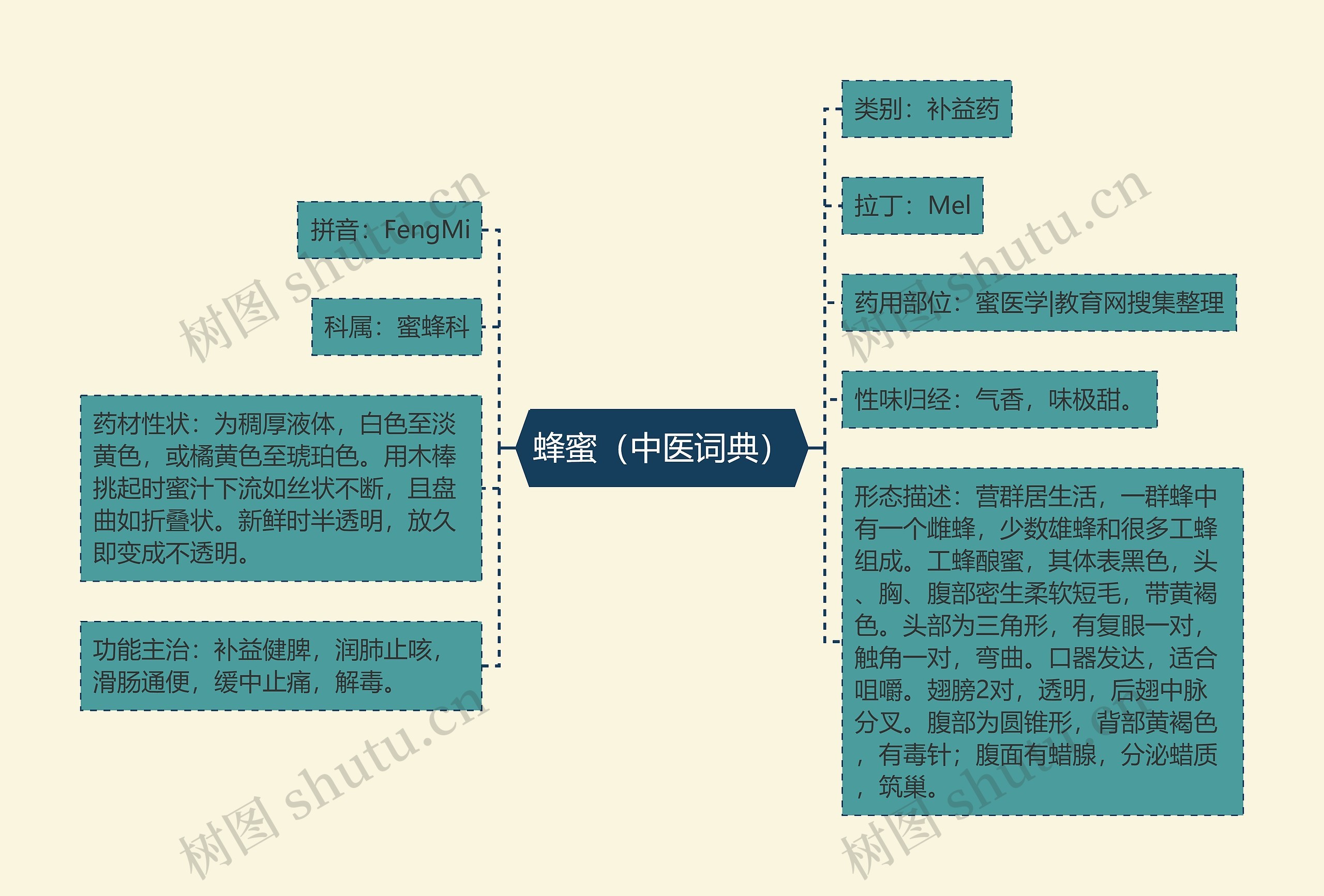 蜂蜜（中医词典）思维导图