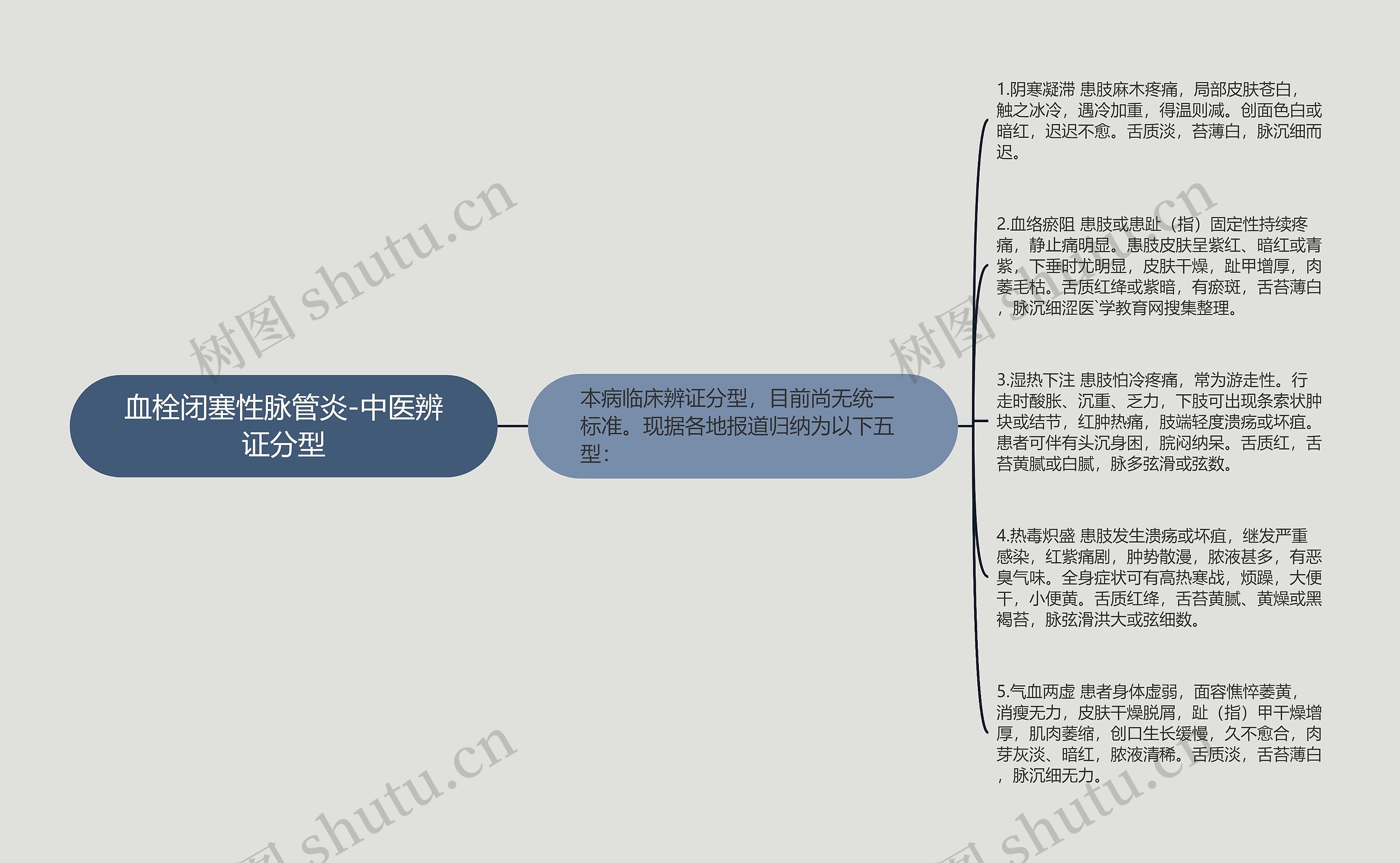 血栓闭塞性脉管炎-中医辨证分型