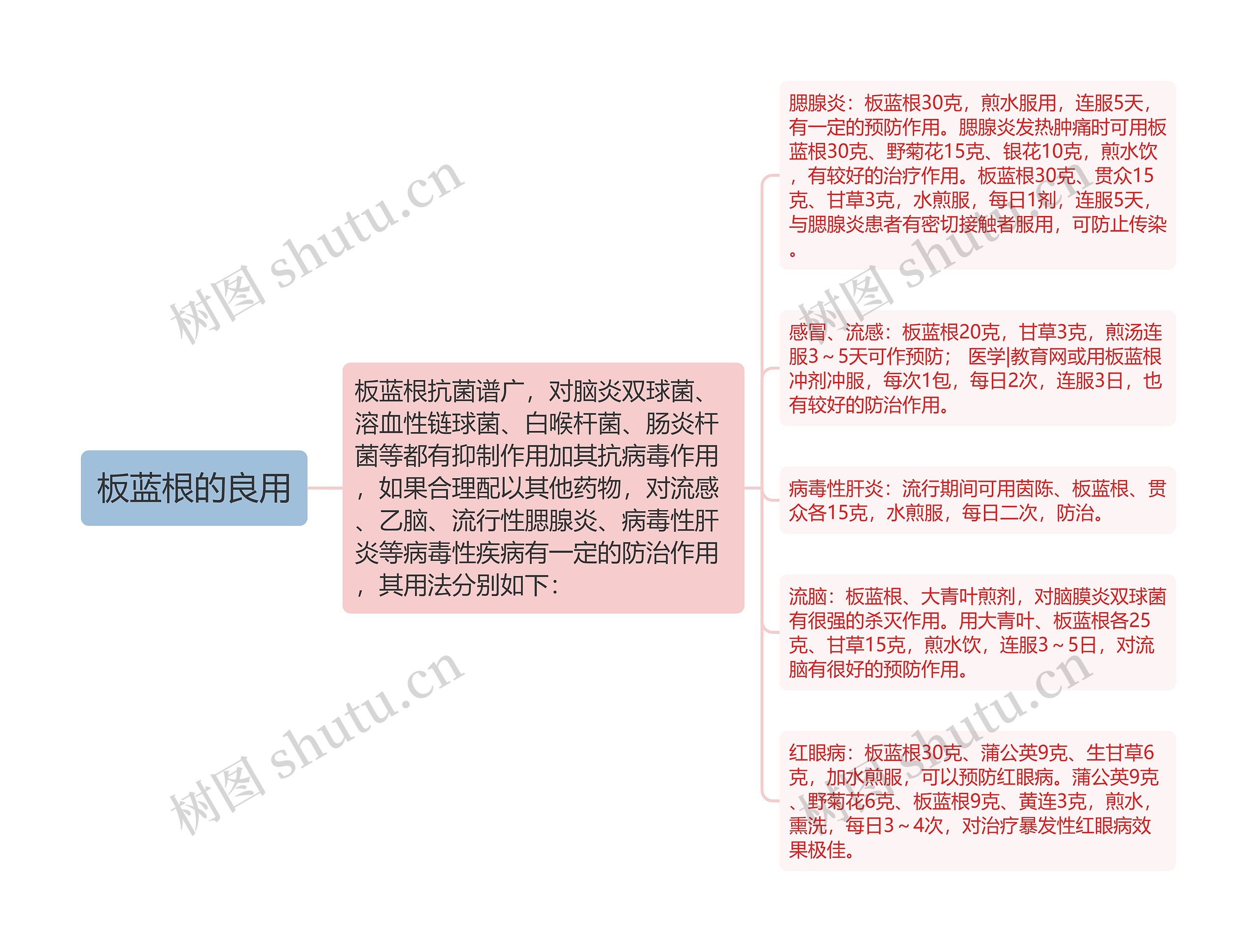 板蓝根的良用思维导图