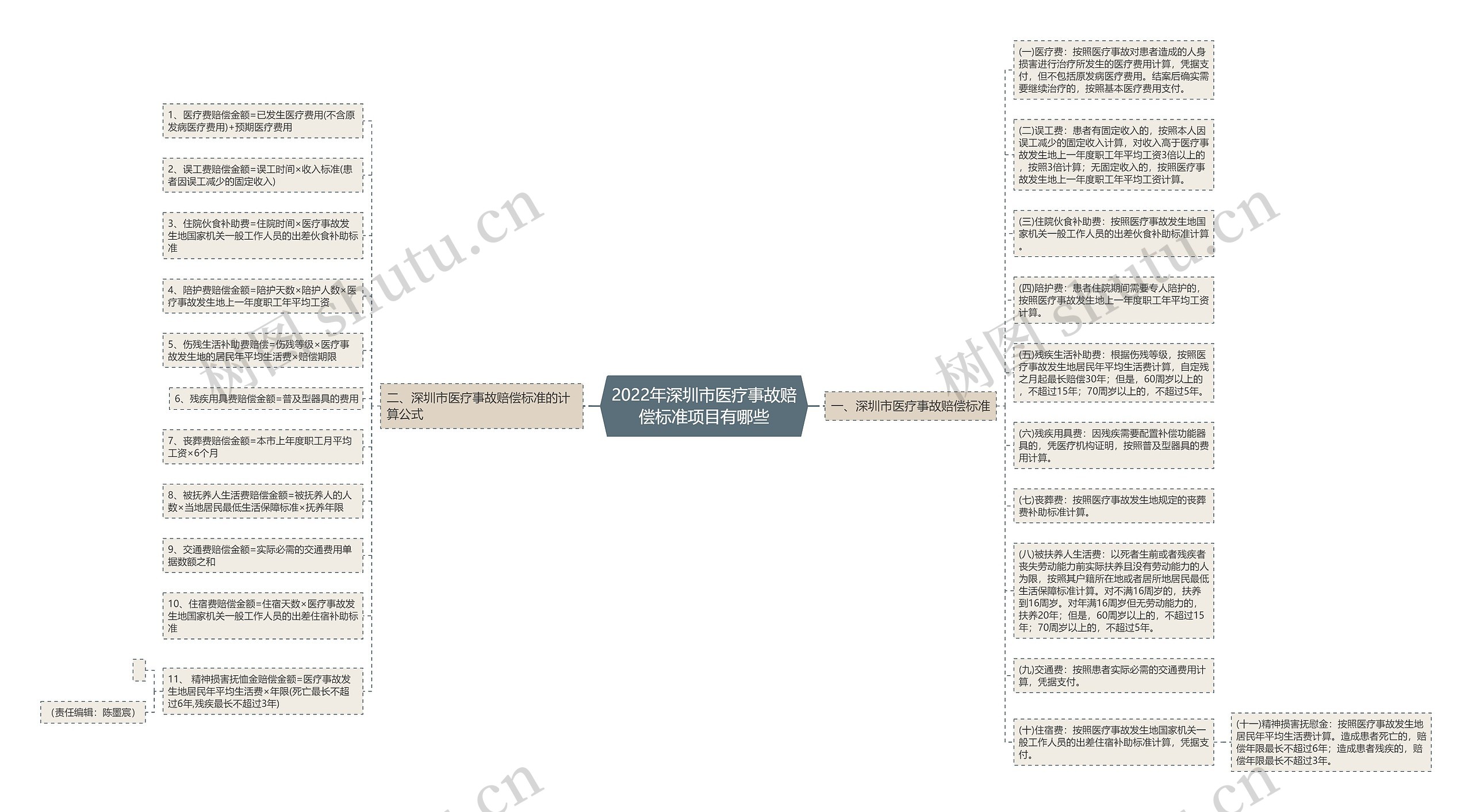 2022年深圳市医疗事故赔偿标准项目有哪些思维导图