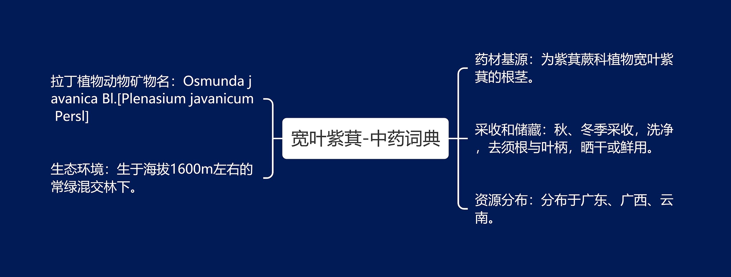 宽叶紫萁-中药词典思维导图