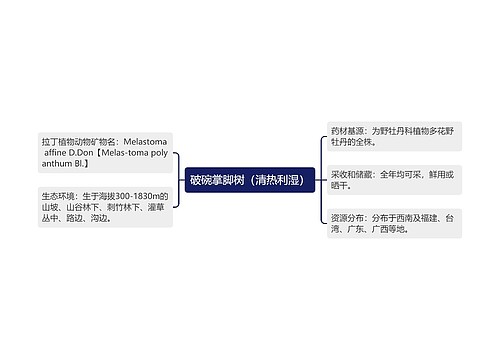 破碗掌脚树（清热利湿）