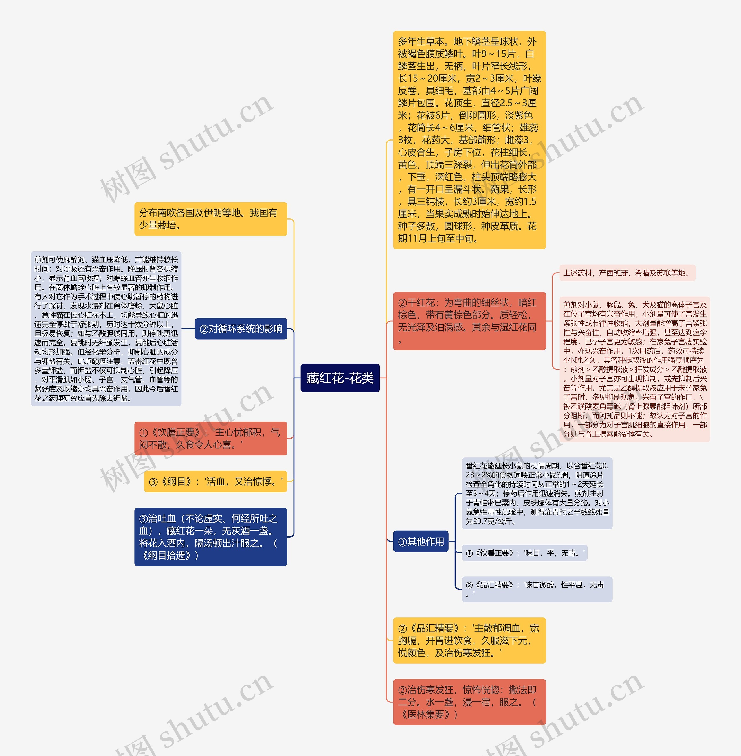 藏红花-花类思维导图