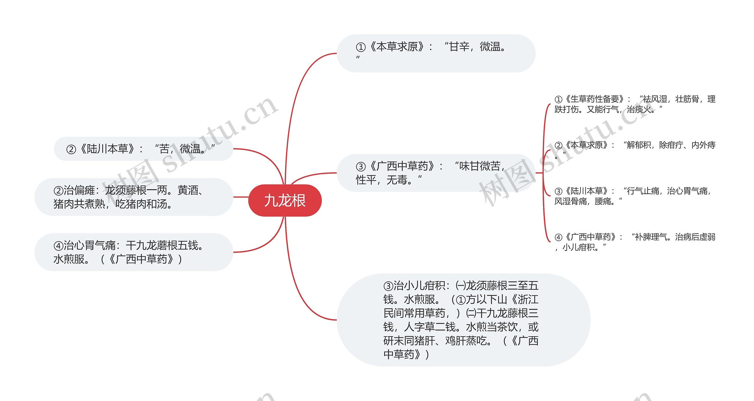 九龙根思维导图