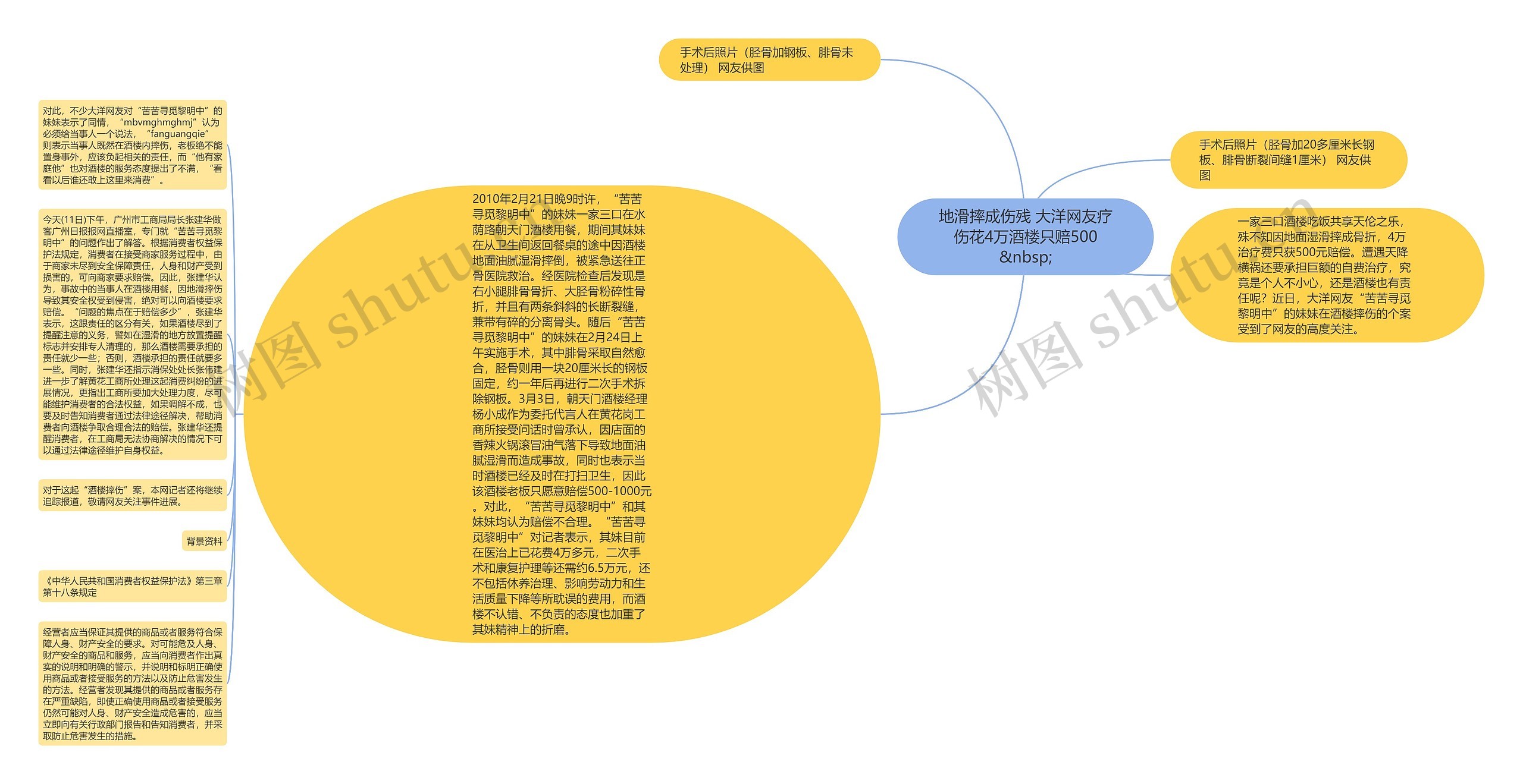 地滑摔成伤残 大洋网友疗伤花4万酒楼只赔500
&nbsp;思维导图