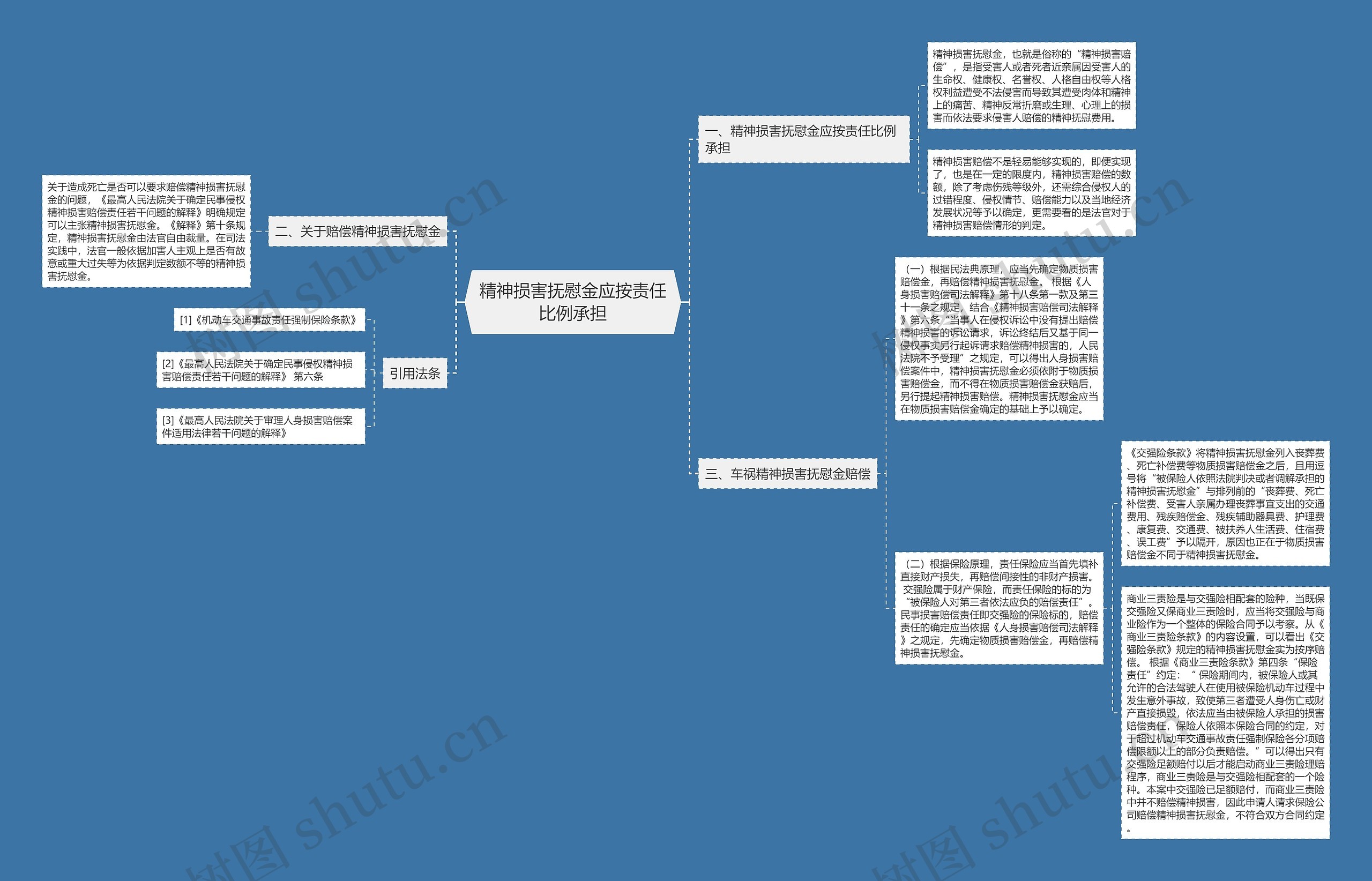 精神损害抚慰金应按责任比例承担思维导图