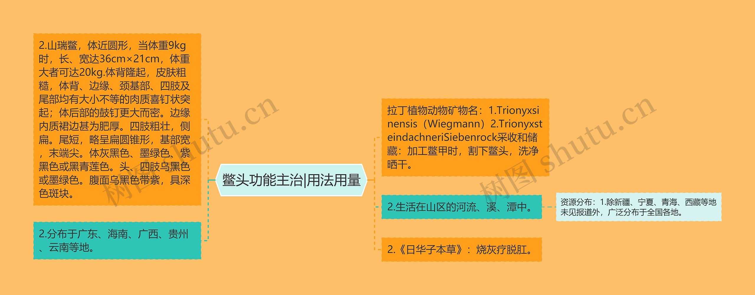 鳖头功能主治|用法用量思维导图