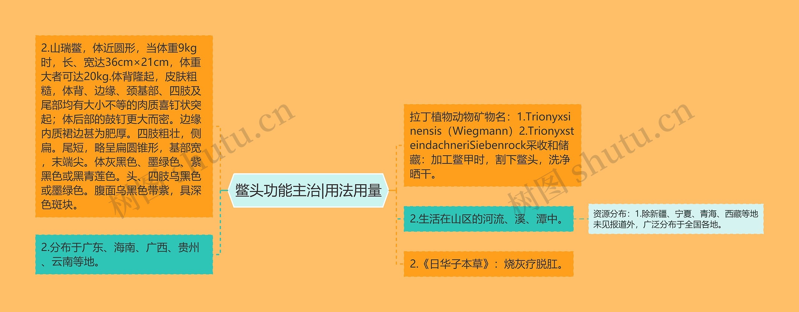 鳖头功能主治|用法用量 鳖头功能主治|用法用量