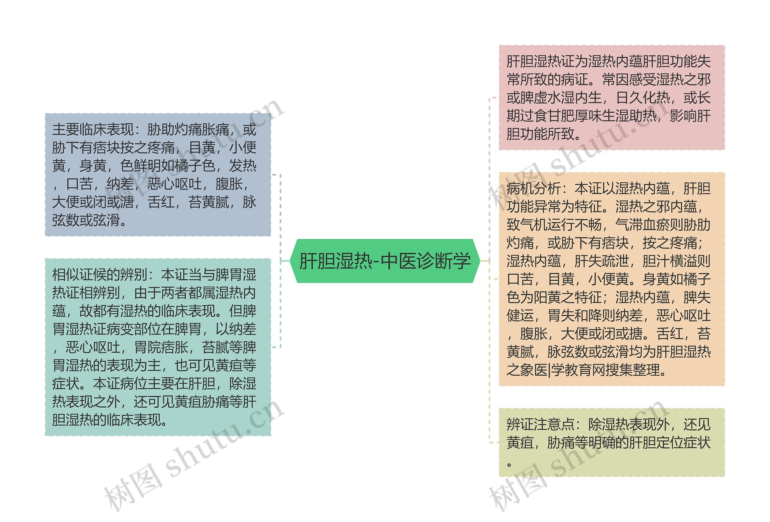 肝胆湿热-中医诊断学思维导图