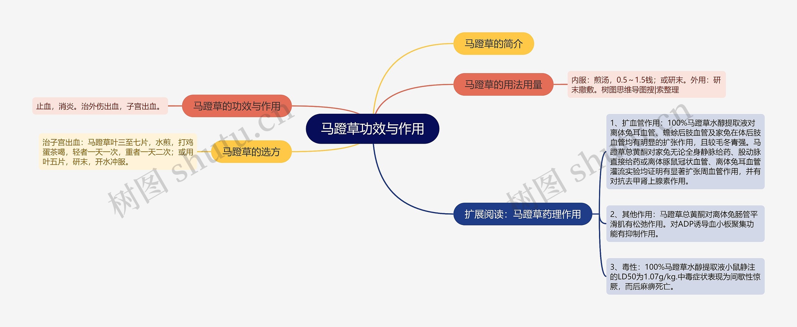 马蹬草功效与作用思维导图