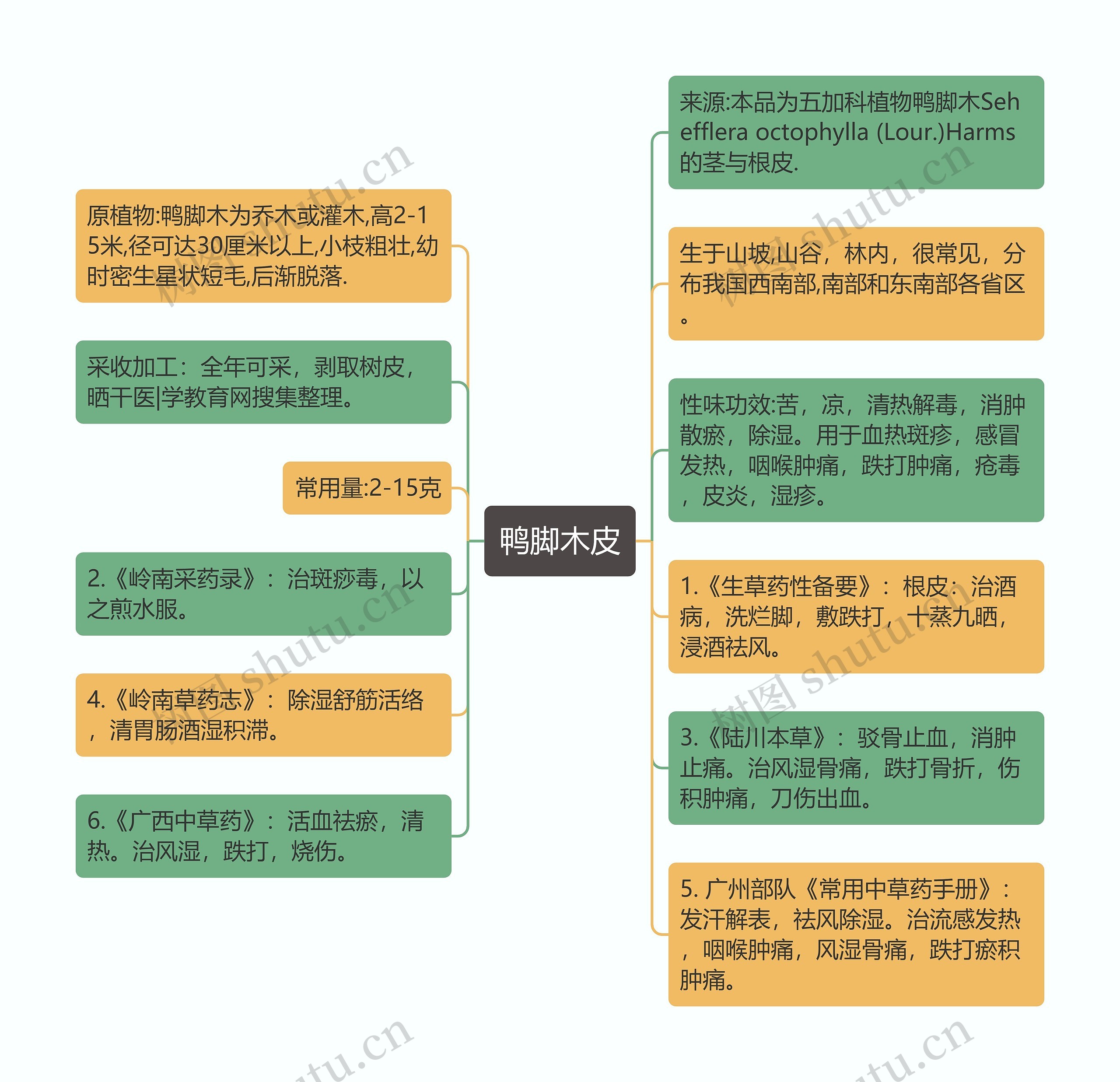 鸭脚木皮思维导图