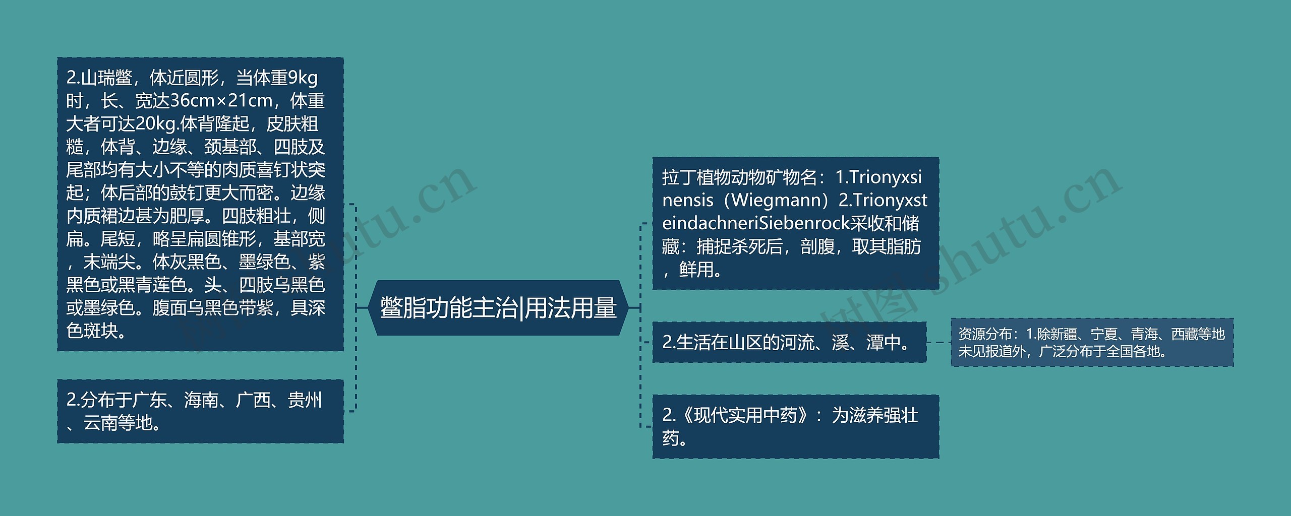 鳖脂功能主治|用法用量 鳖脂功能主治|用法用量