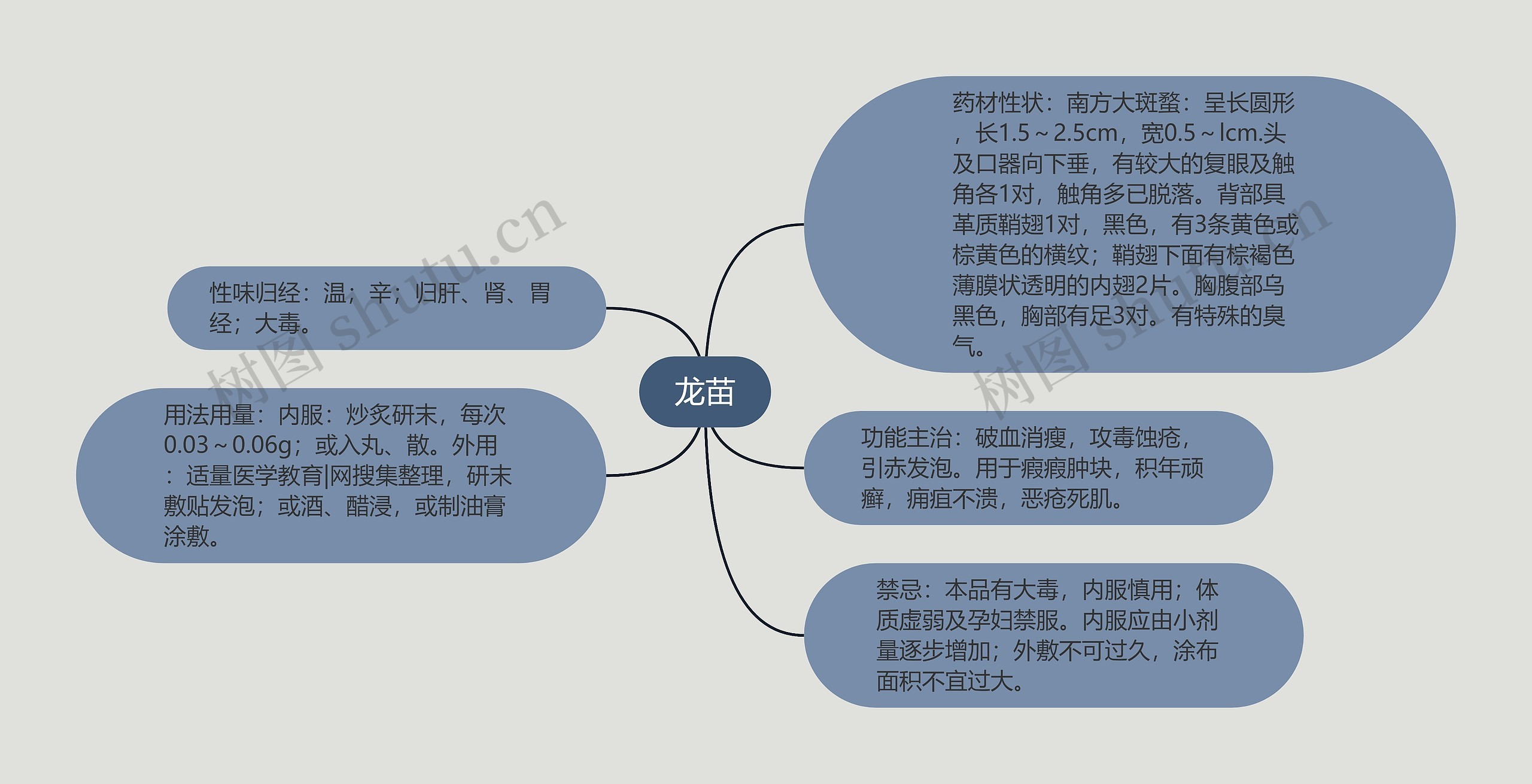 龙苗思维导图