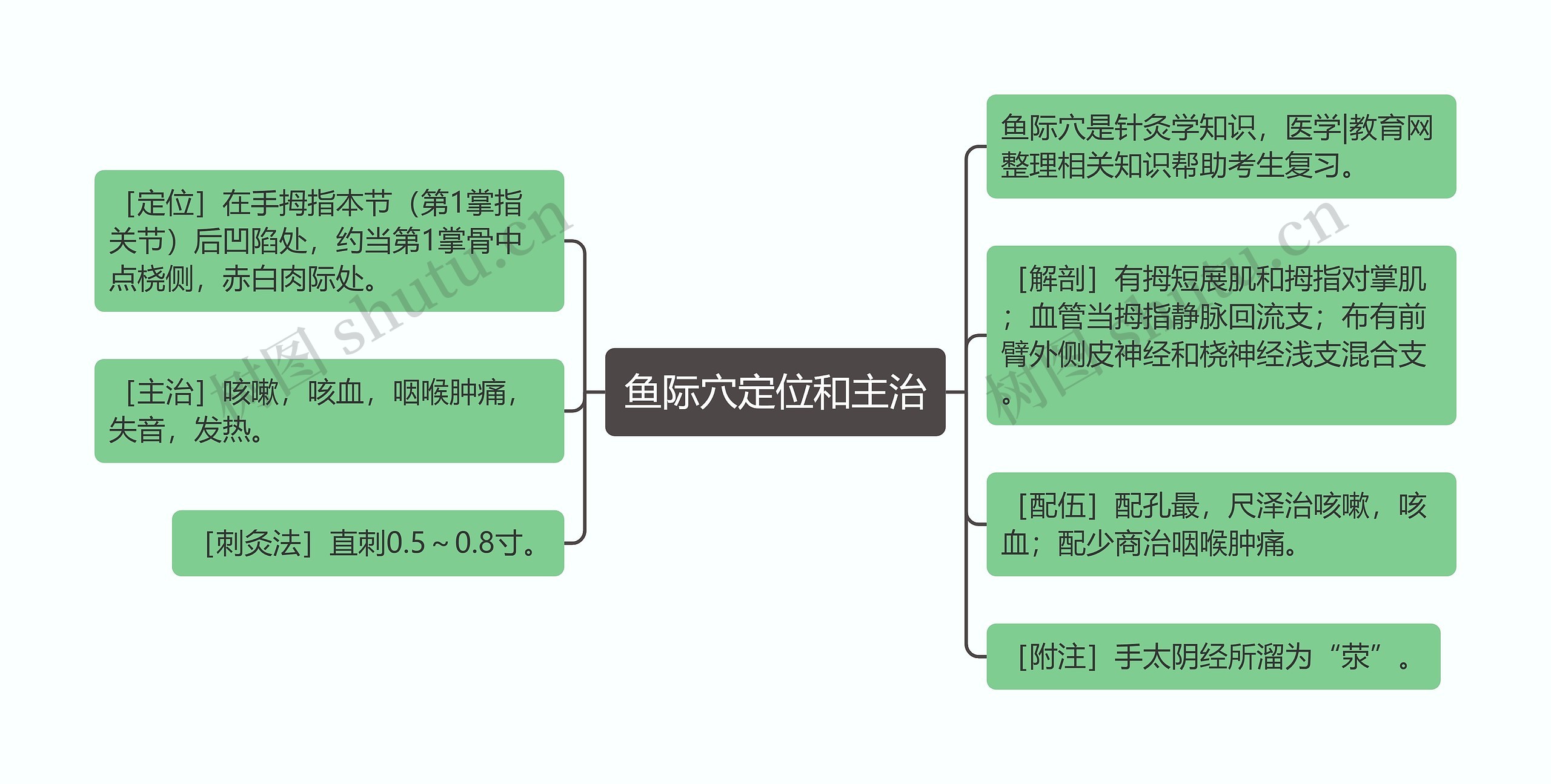 鱼际穴定位和主治