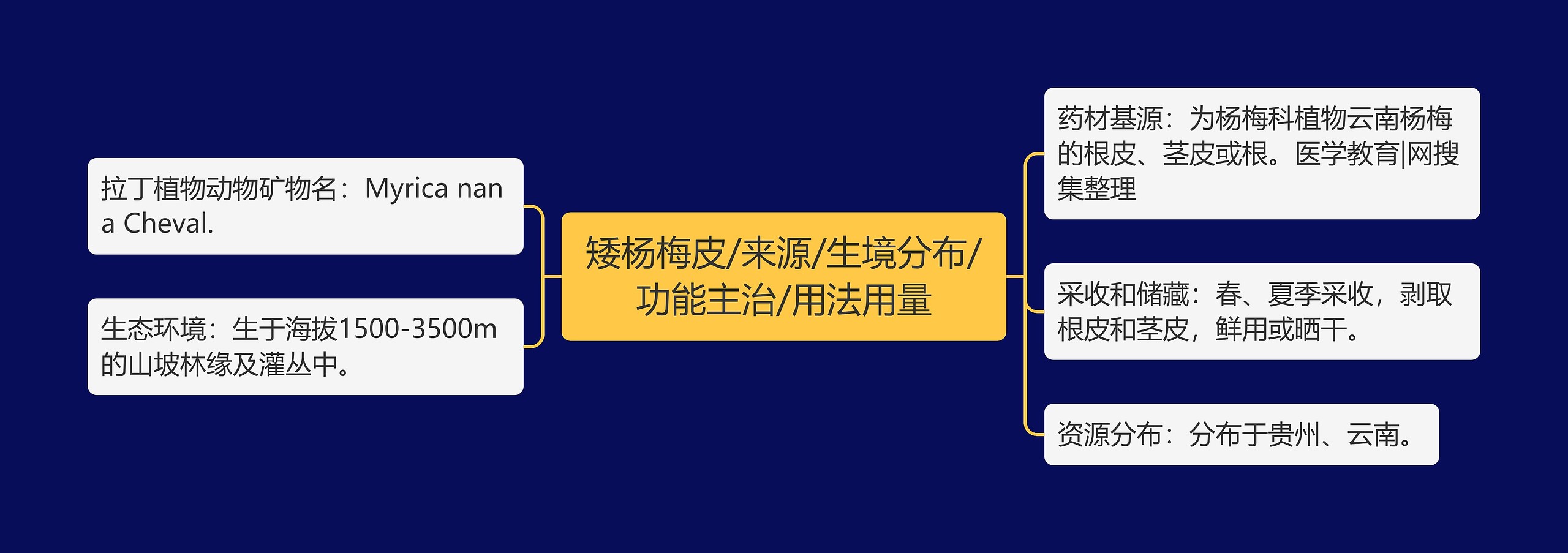 矮杨梅皮/来源/生境分布/功能主治/用法用量思维导图