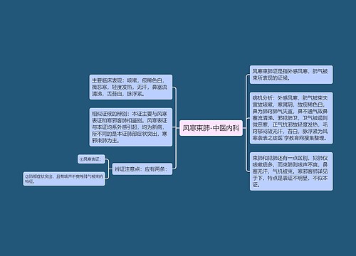 风寒束肺-中医内科