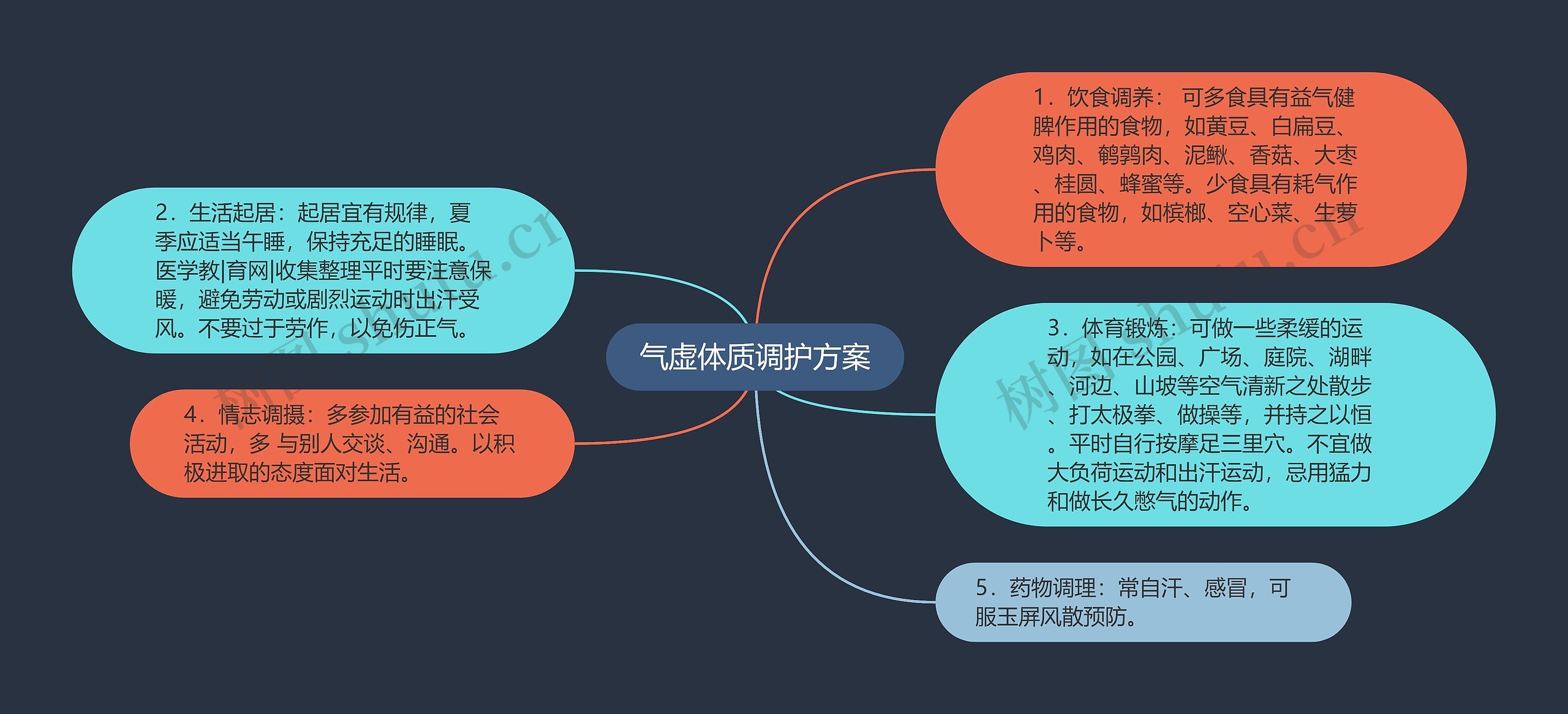 气虚体质调护方案思维导图