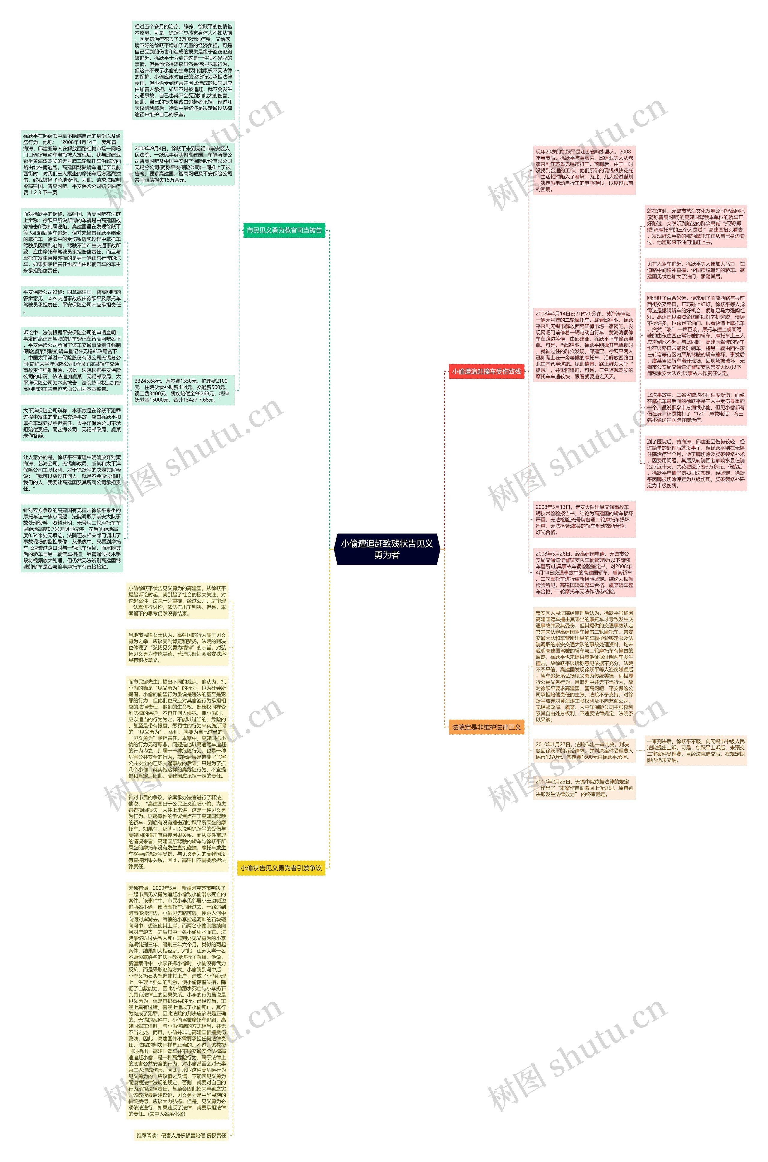 小偷遭追赶致残状告见义勇为者思维导图