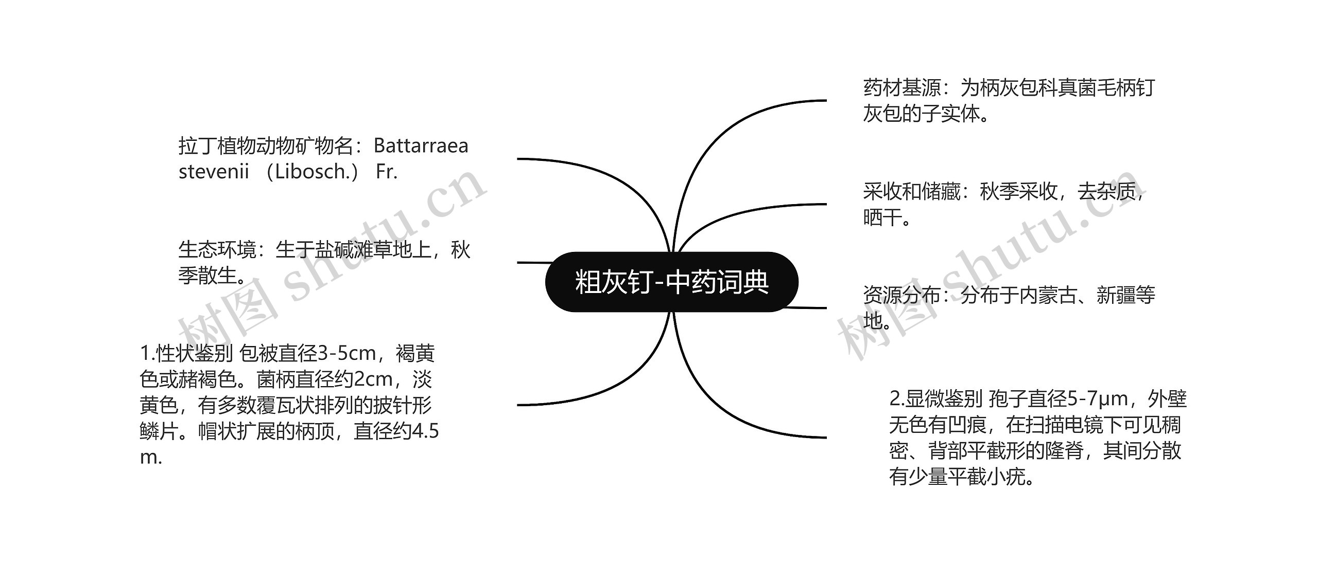 粗灰钉-中药词典