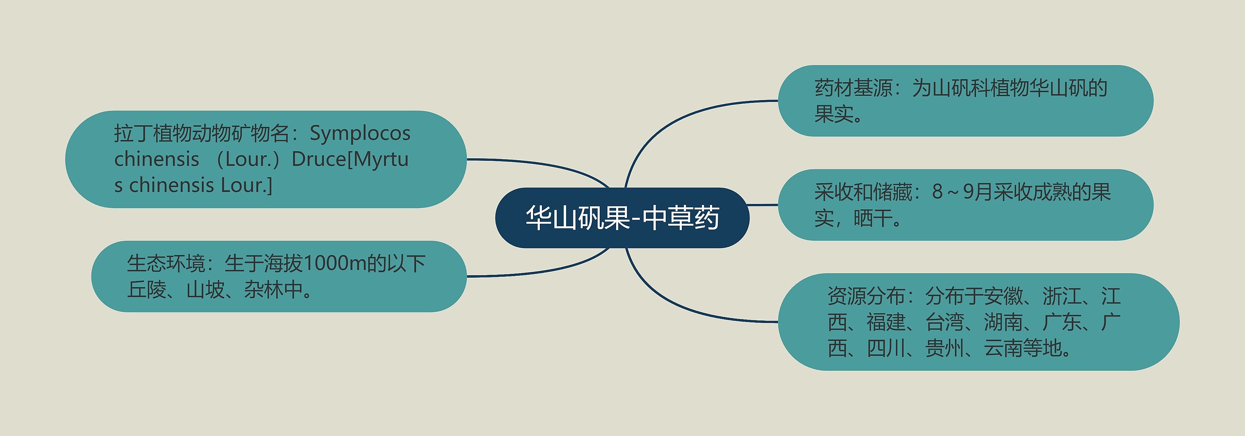 华山矾果-中草药 华山矾果-中草药