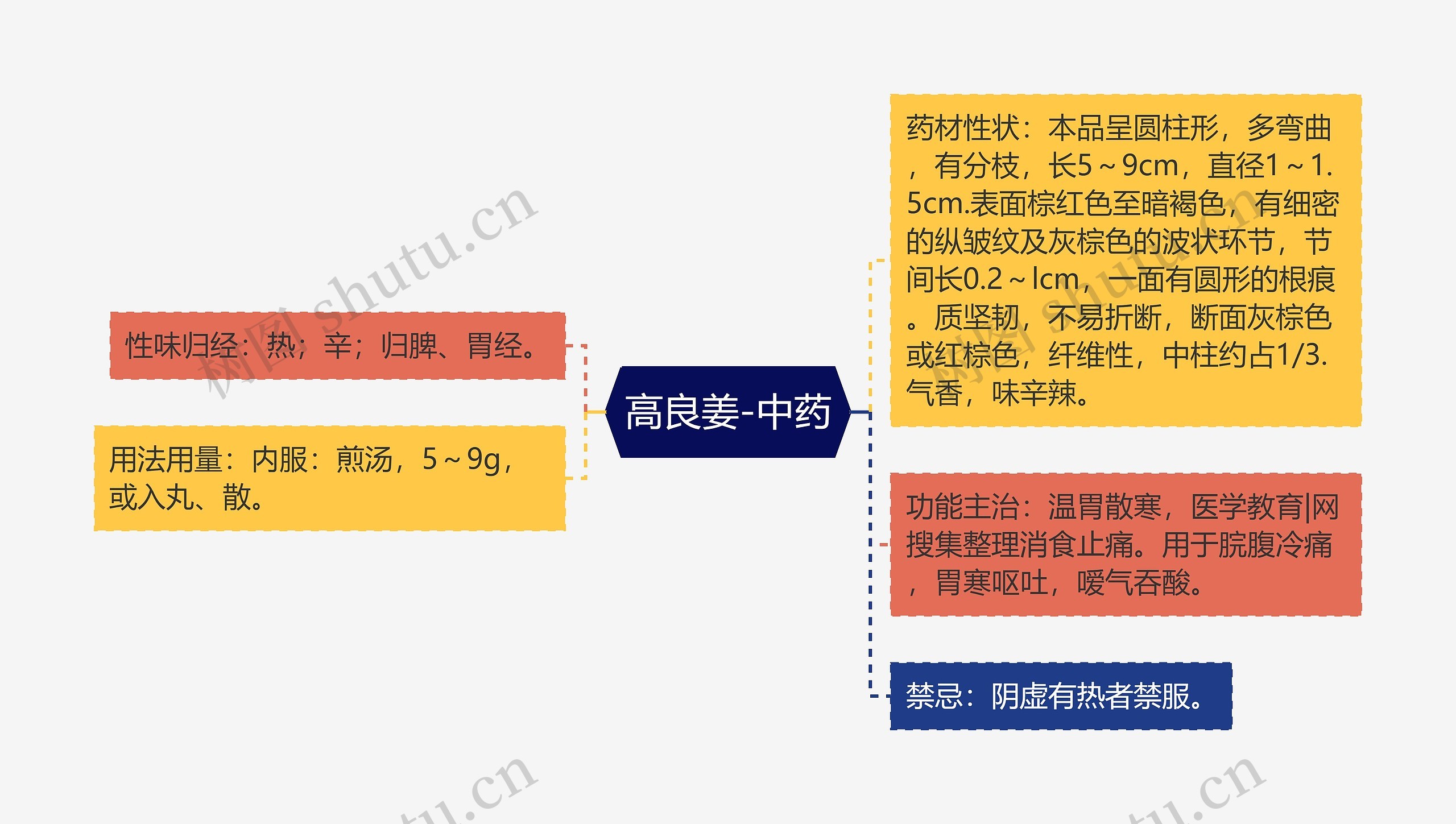 高良姜-中药思维导图