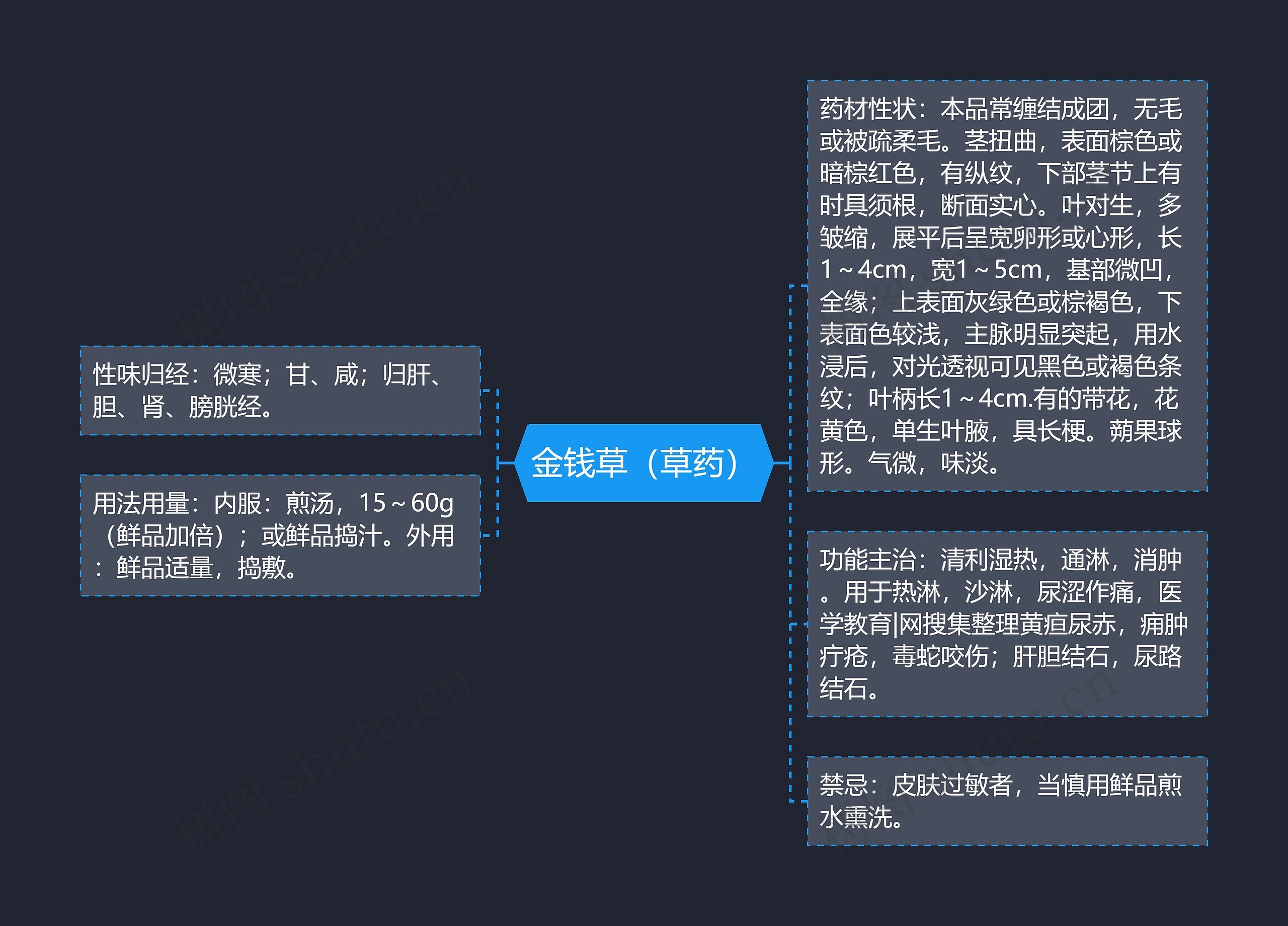 金钱草（草药）思维导图