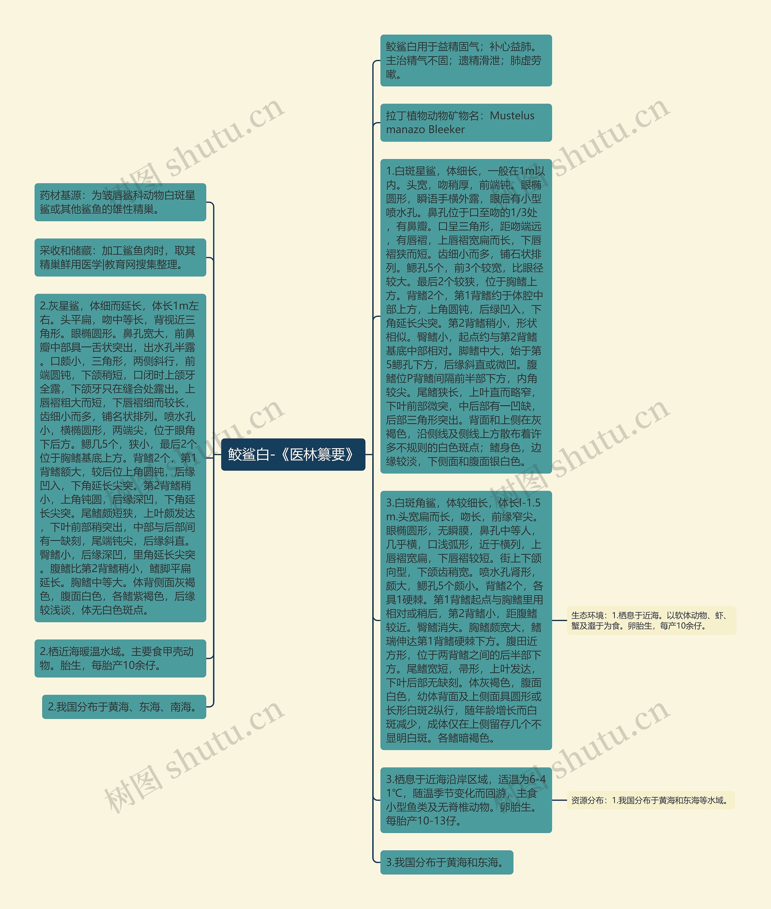 鲛鲨白-《医林纂要》思维导图