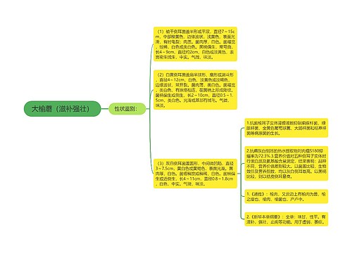 大榆蘑（滋补强壮）