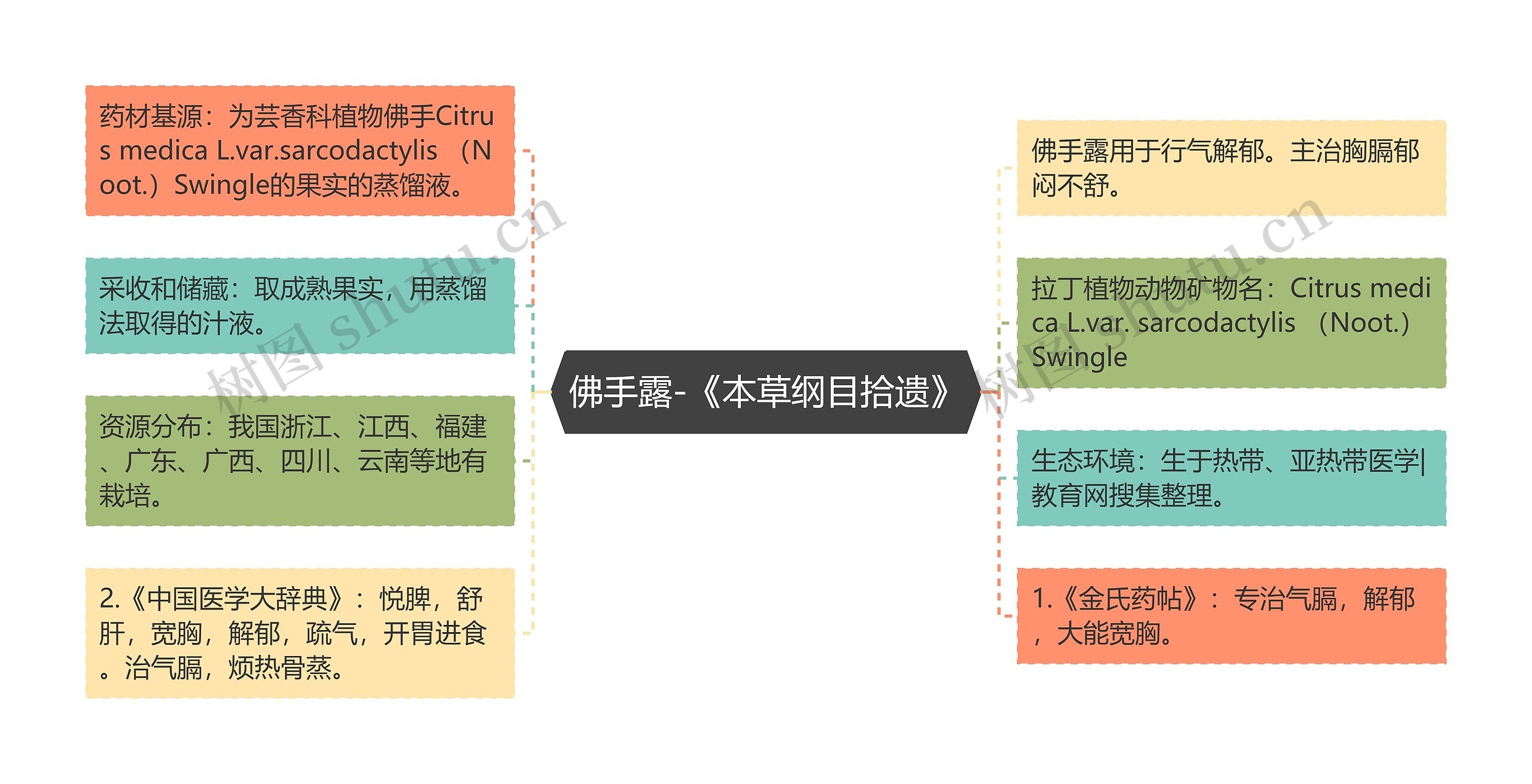 佛手露-《本草纲目拾遗》