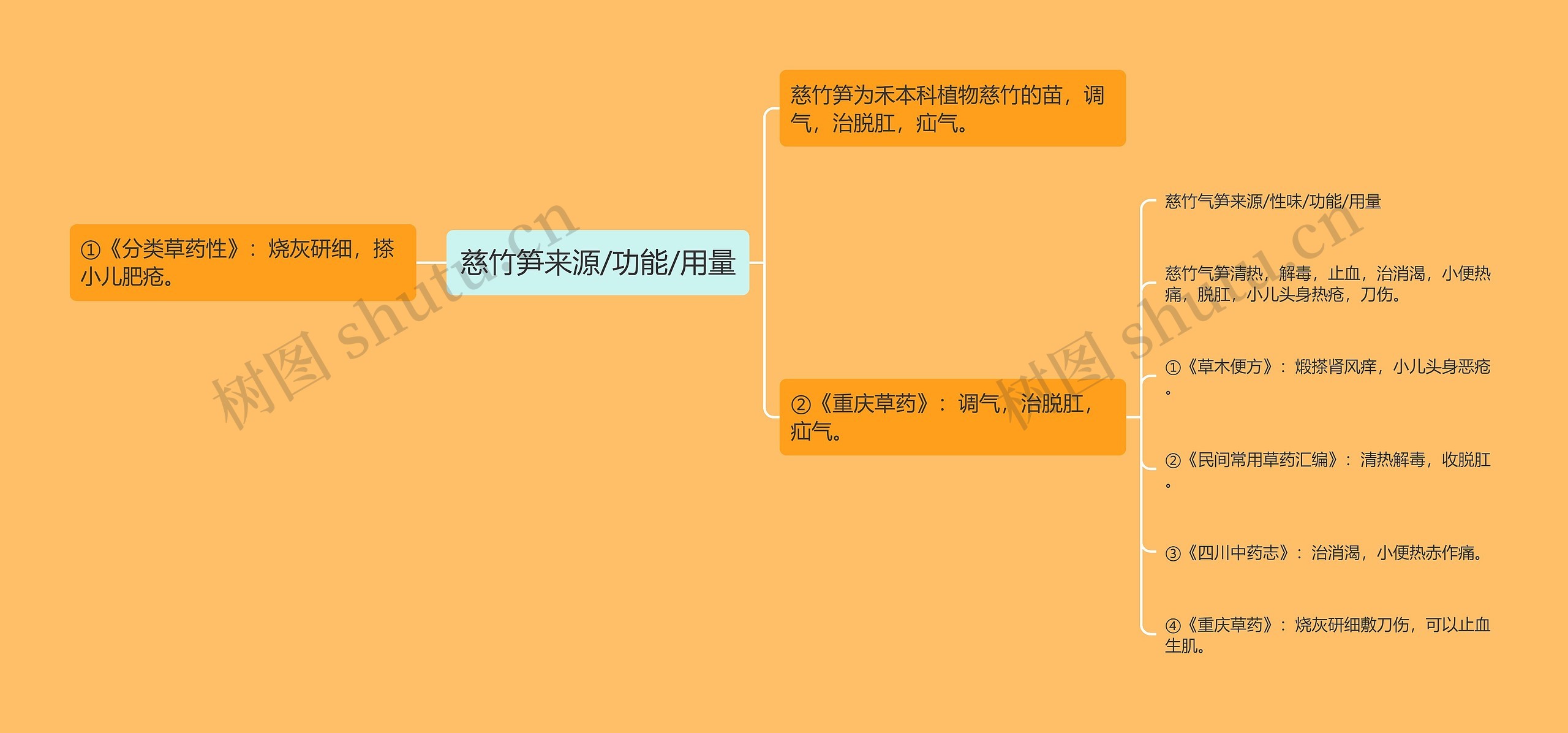 慈竹笋来源/功能/用量 慈竹笋来源/功能/用量