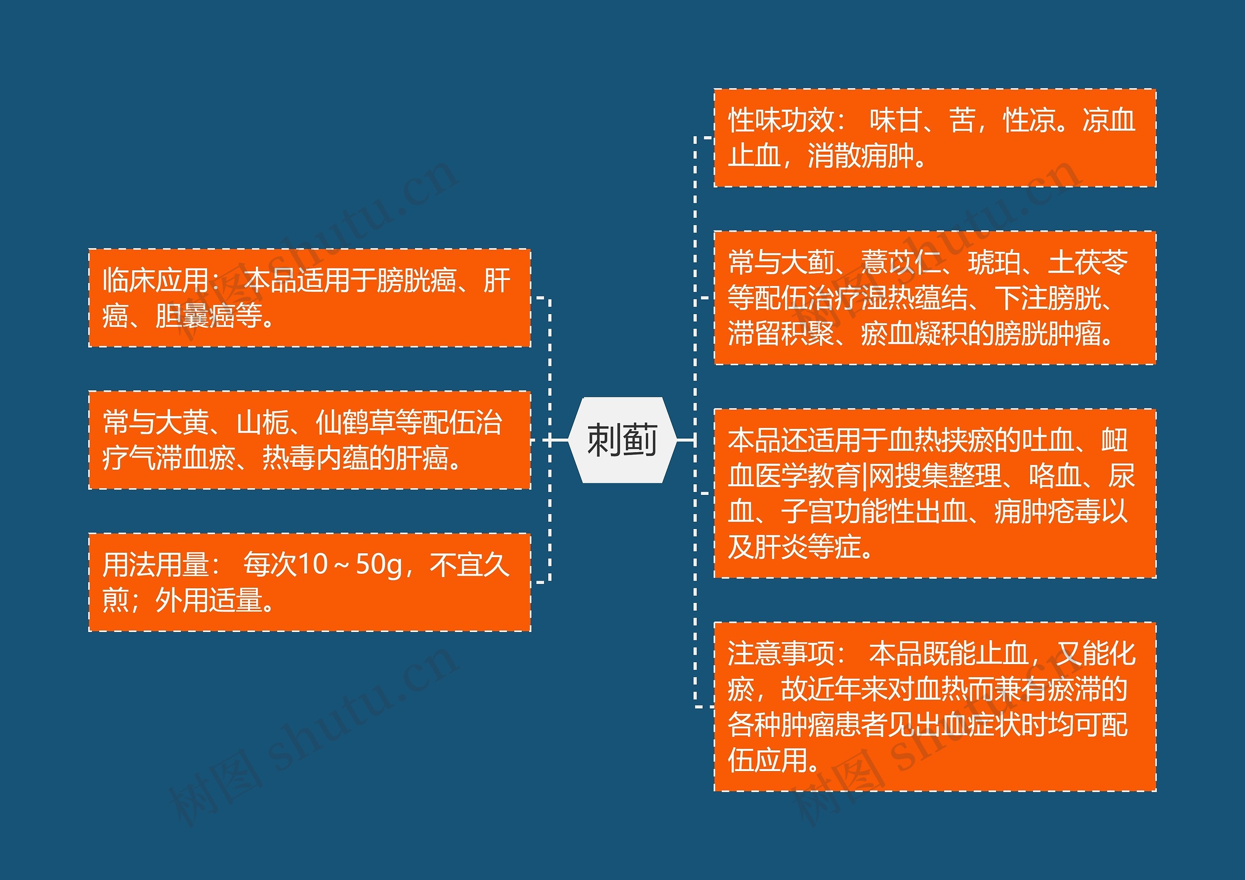 刺蓟思维导图