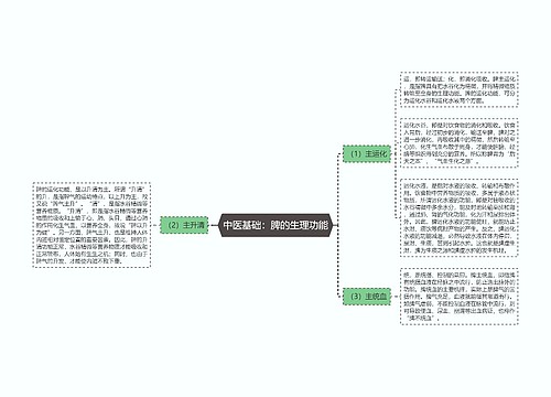 中医基础：脾的生理功能